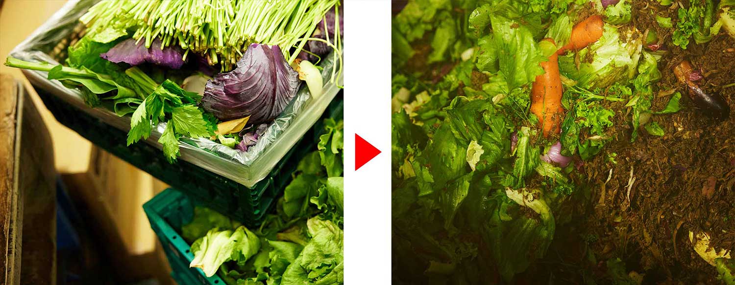 訳あり野菜を食べてフードロスを減らそう！<br >規格外野菜宅配サービス「みたあじ」の想い