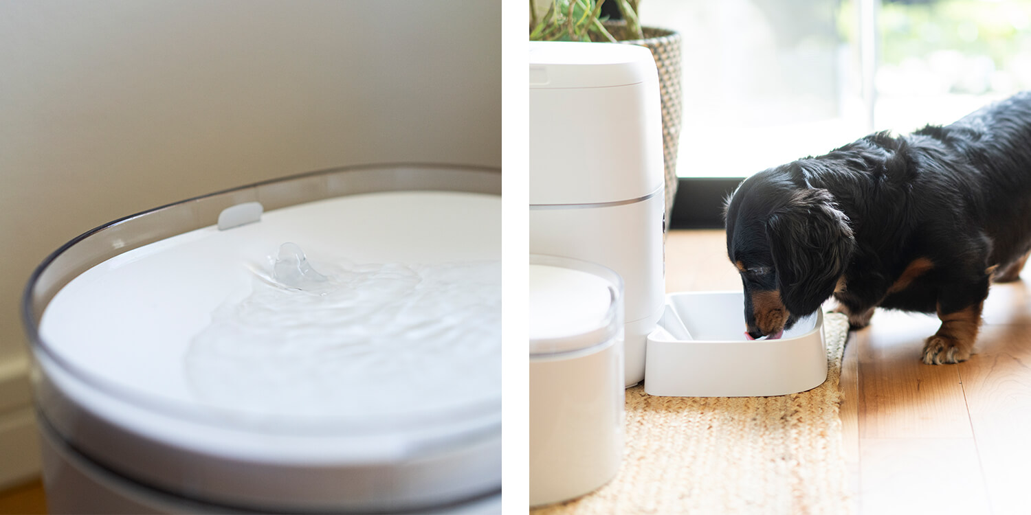 暮らしに寄り添うテクノロジーを　HESTA家電でペットも人も安心快適ライフ