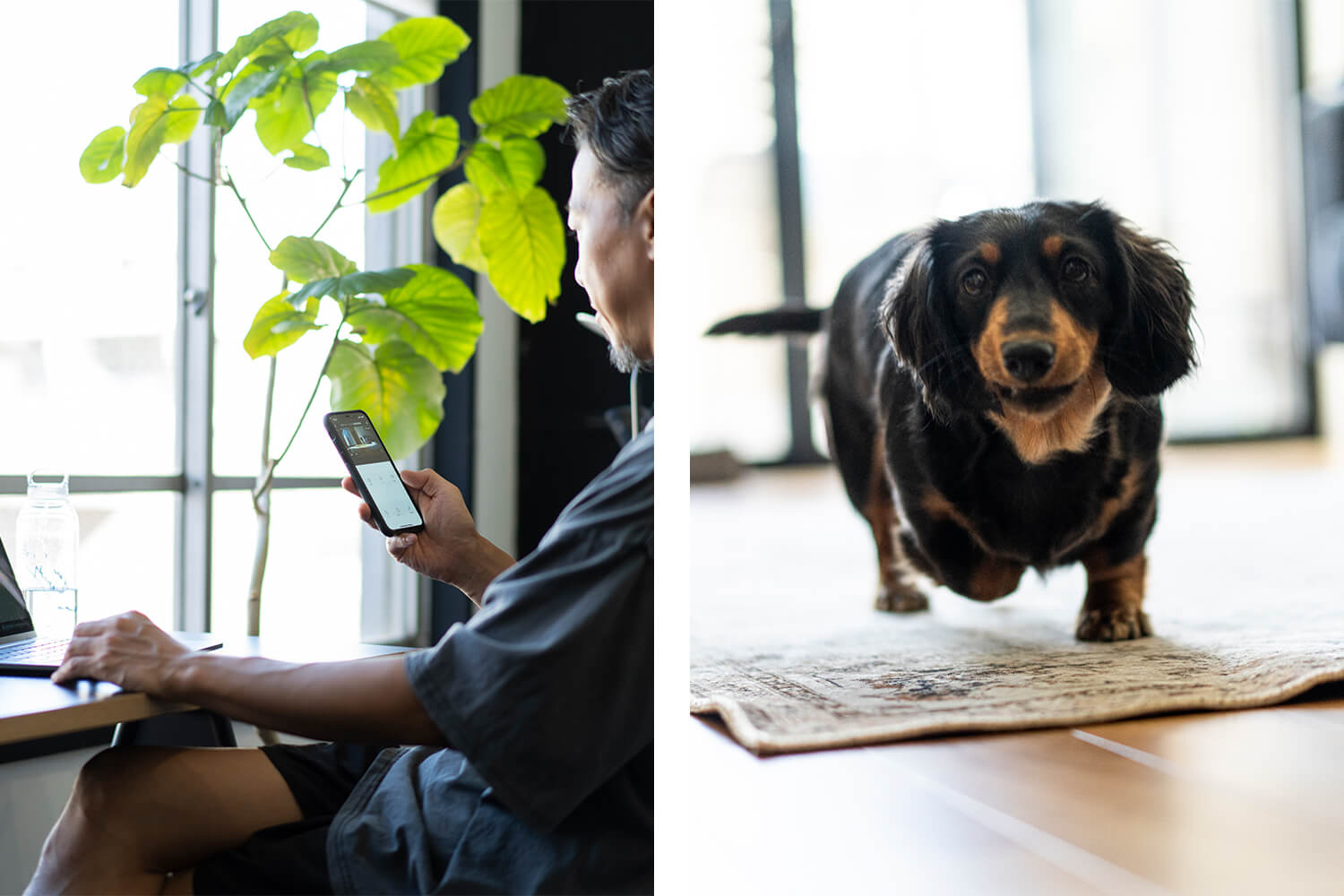 暮らしに寄り添うテクノロジーを　HESTA家電でペットも人も安心快適ライフ