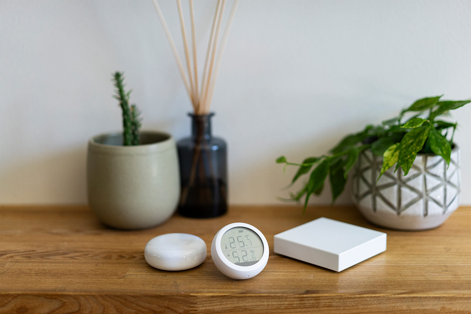 暮らしに寄り添うテクノロジーを　HESTA家電でペットも人も安心快適ライフ