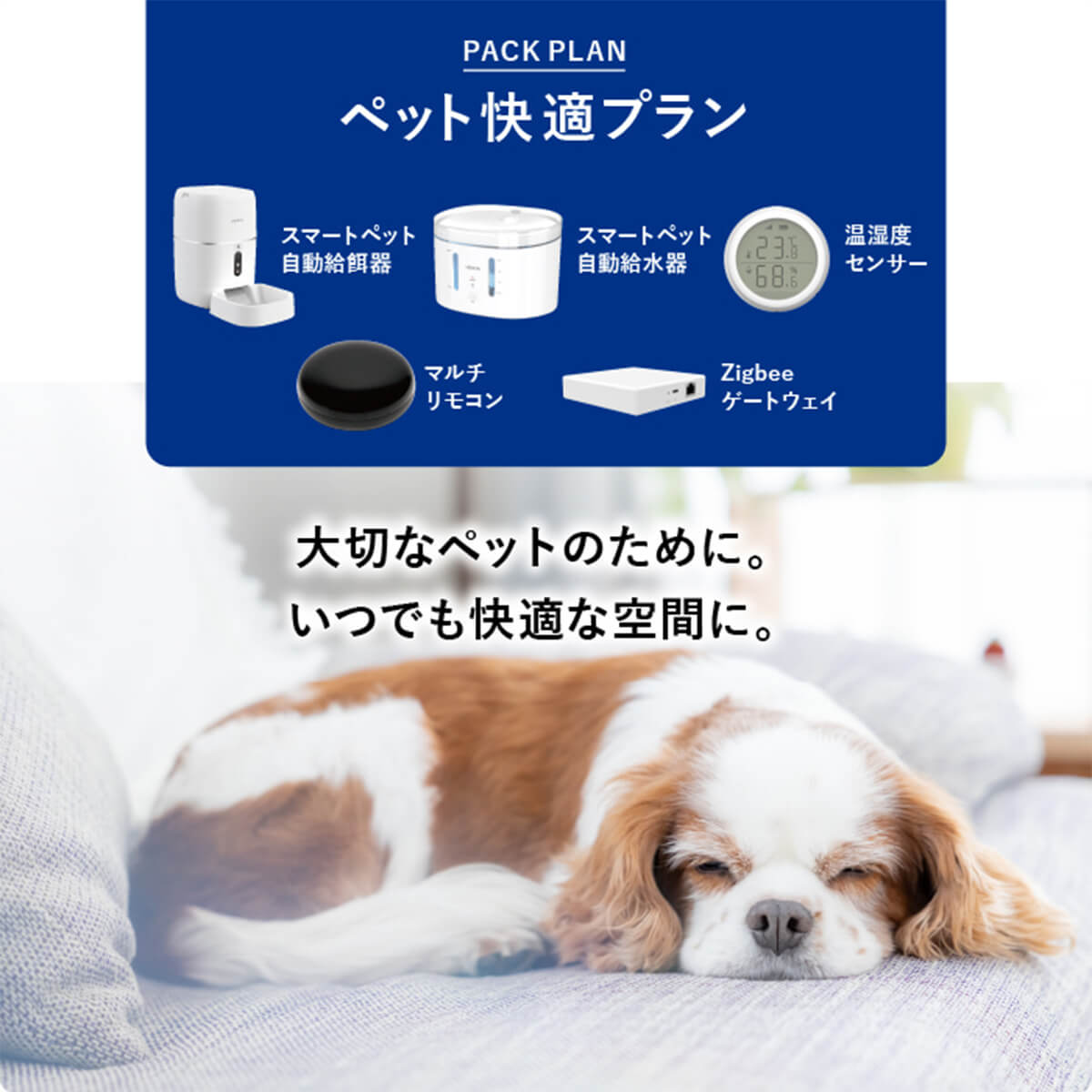 暮らしに寄り添うテクノロジーを　HESTA家電でペットも人も安心快適ライフ