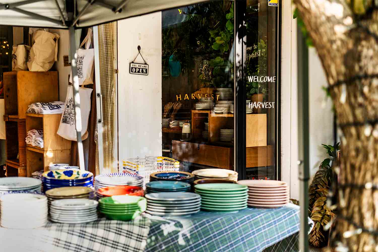 ライフスタイルを彩る『THE HARVEST』の魅力 – 恵比寿で出逢える素敵な器