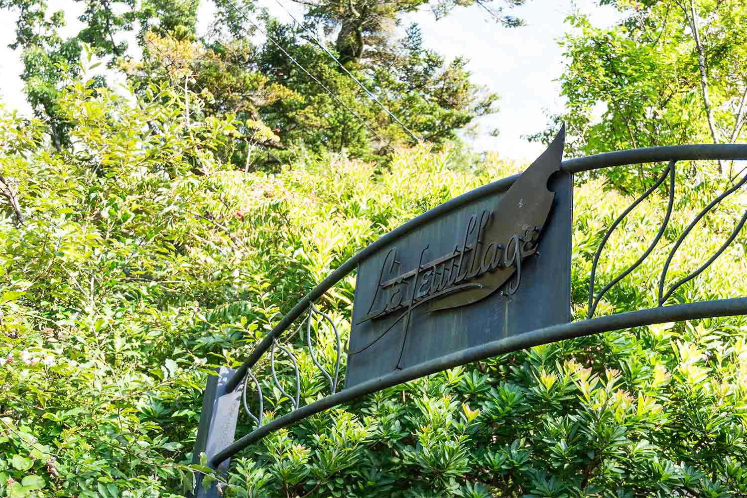 本物のパンを楽しむ！伊豆高原の隠れ家ベーカリーカフェ『ル・フィヤージュ』