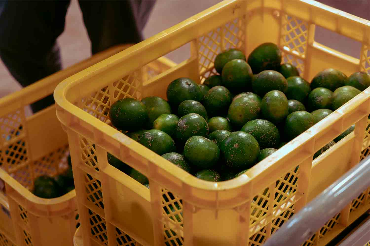 CRAFT BEER TRIP! ビール作りに人生を捧げた夫婦が作るクラフトビールの楽園に行こう！