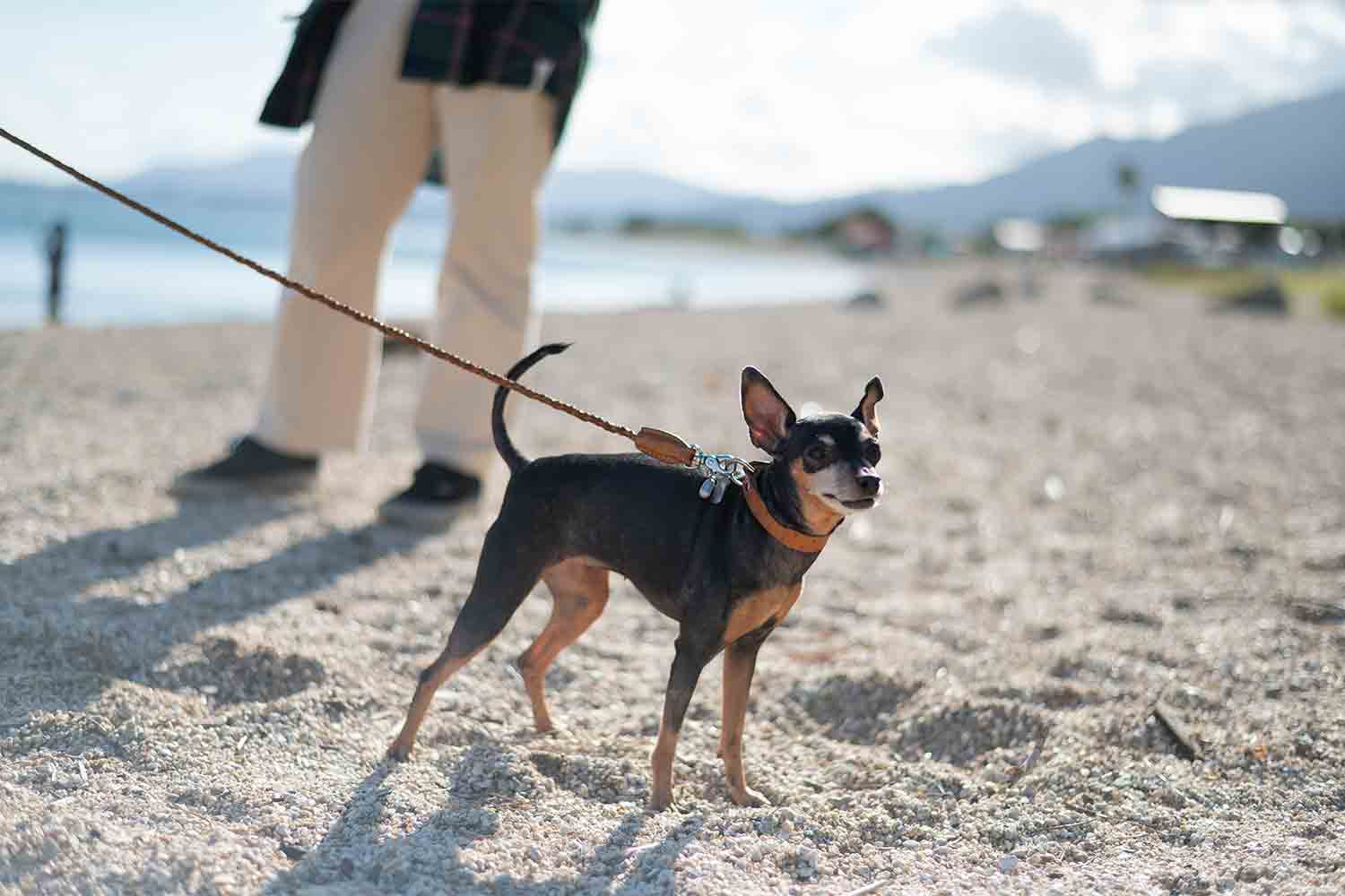 琵琶湖を横目に楽しむ滋賀県の話題スポットをSNSサーチで旅してみた