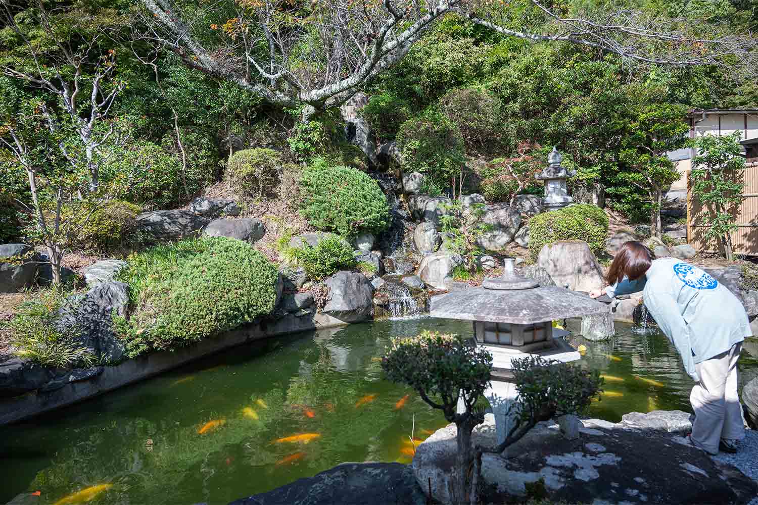 琵琶湖を横目に楽しむ滋賀県の話題スポットをSNSサーチで旅してみた