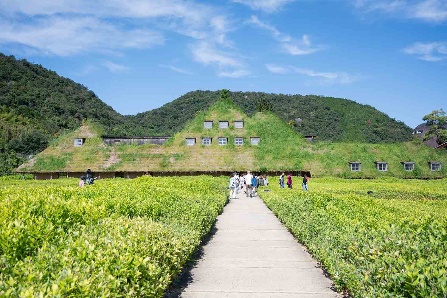 琵琶湖を横目に楽しむ滋賀県の話題スポットをSNSサーチで旅してみた
