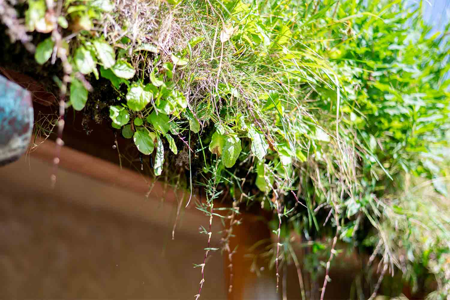 琵琶湖を横目に楽しむ滋賀県の話題スポットをSNSサーチで旅してみた