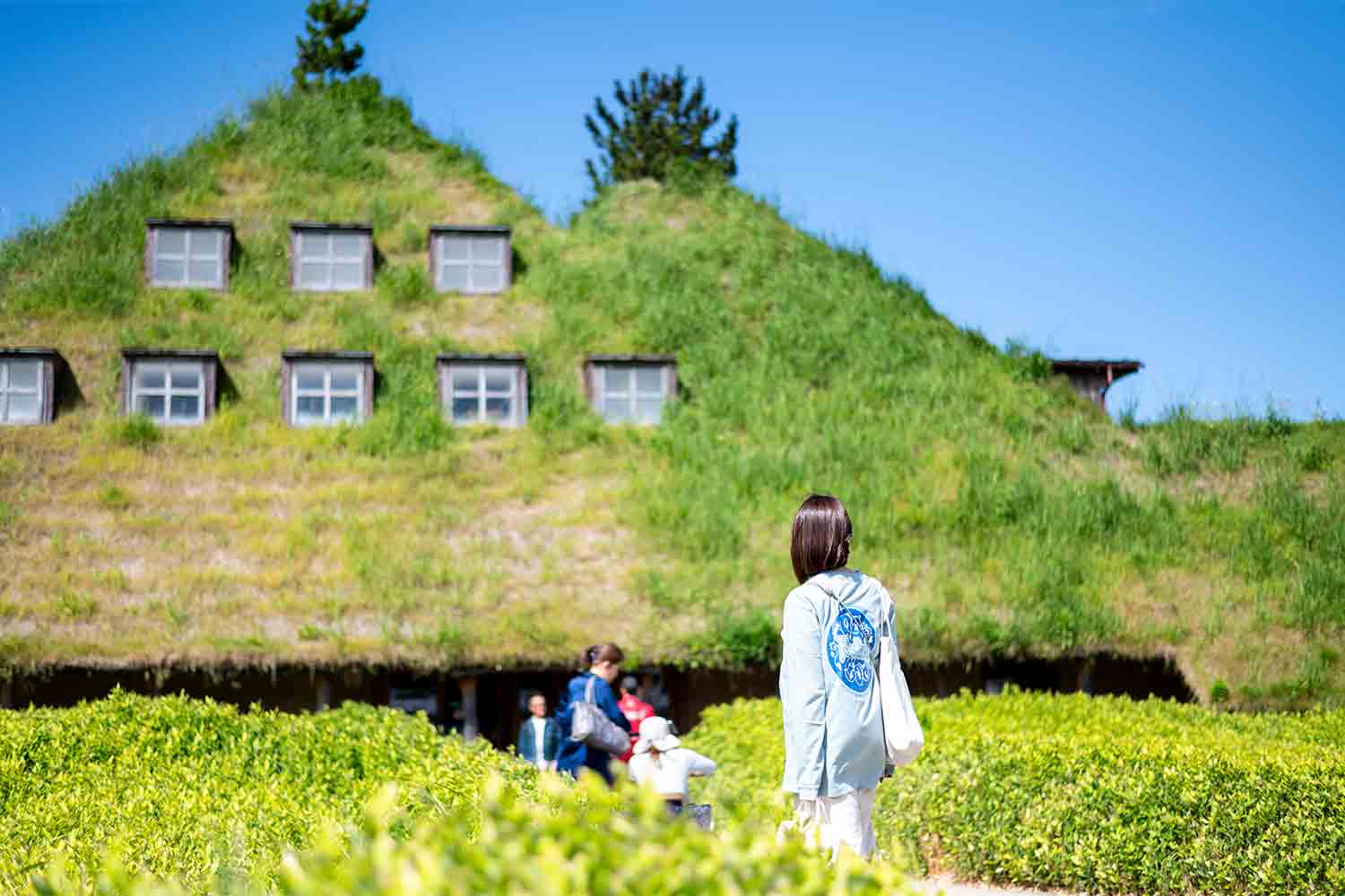 琵琶湖を横目に楽しむ滋賀県の話題スポットをSNSサーチで旅してみた