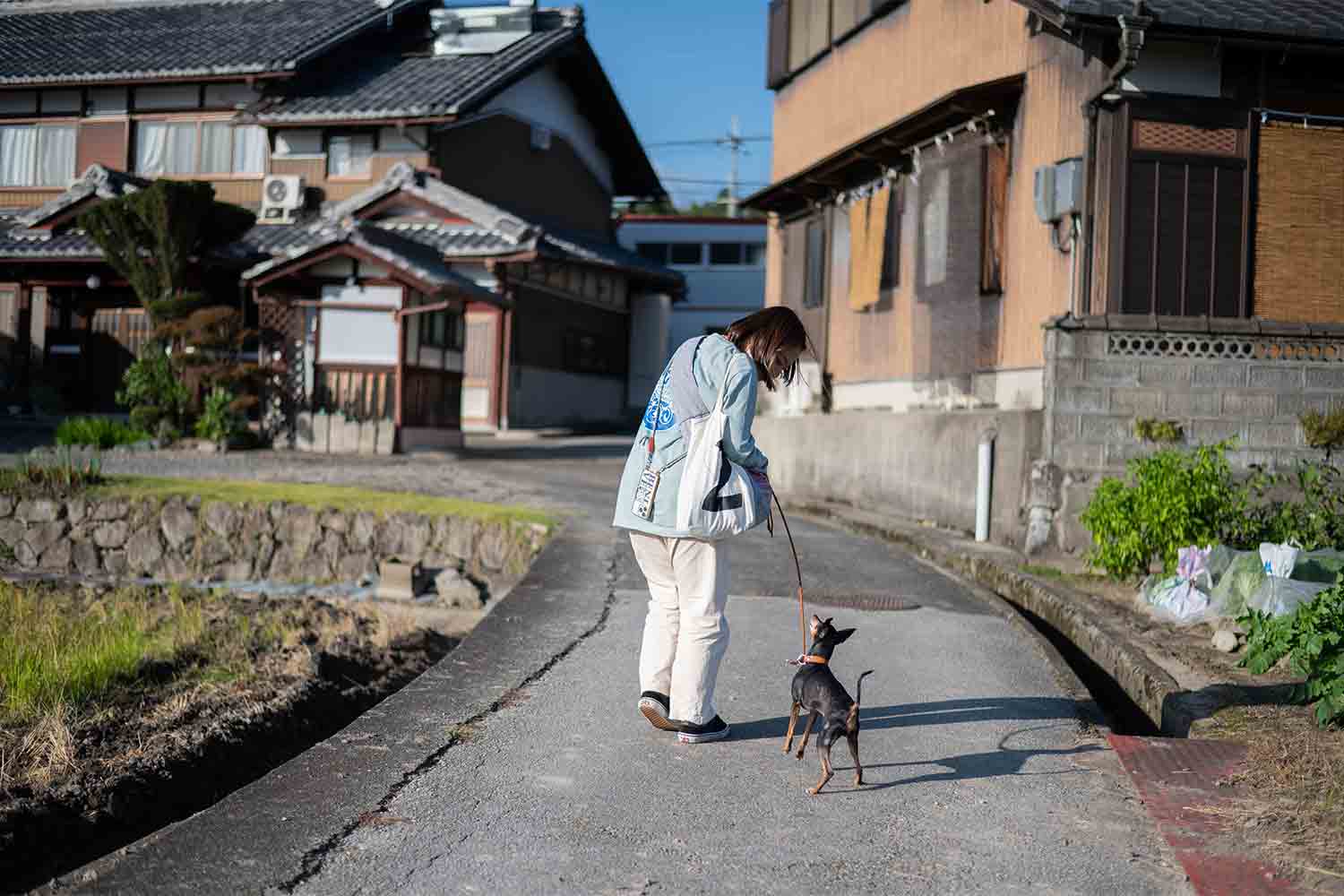 琵琶湖を横目に楽しむ滋賀県の話題スポットをSNSサーチで旅してみた
