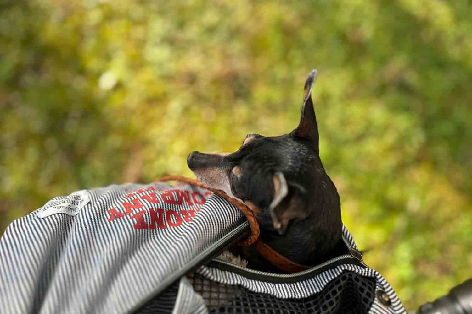 琵琶湖を横目に楽しむ滋賀県の話題スポットをSNSサーチで旅してみた