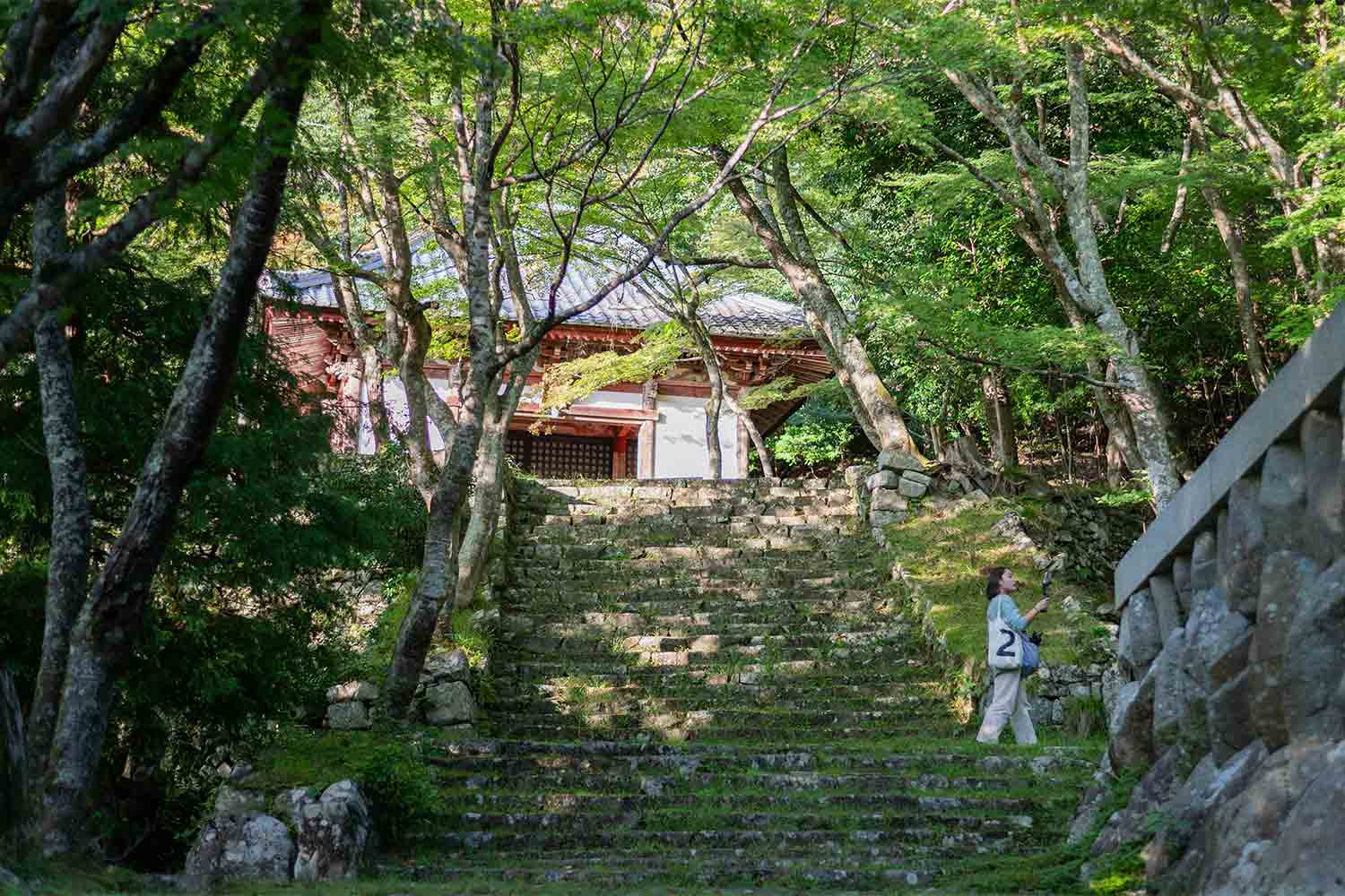 琵琶湖を横目に楽しむ滋賀県の話題スポットをSNSサーチで旅してみた