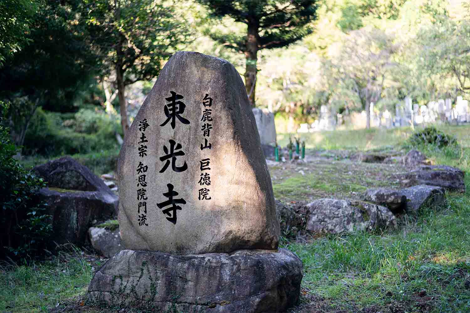 琵琶湖を横目に楽しむ滋賀県の話題スポットをSNSサーチで旅してみた