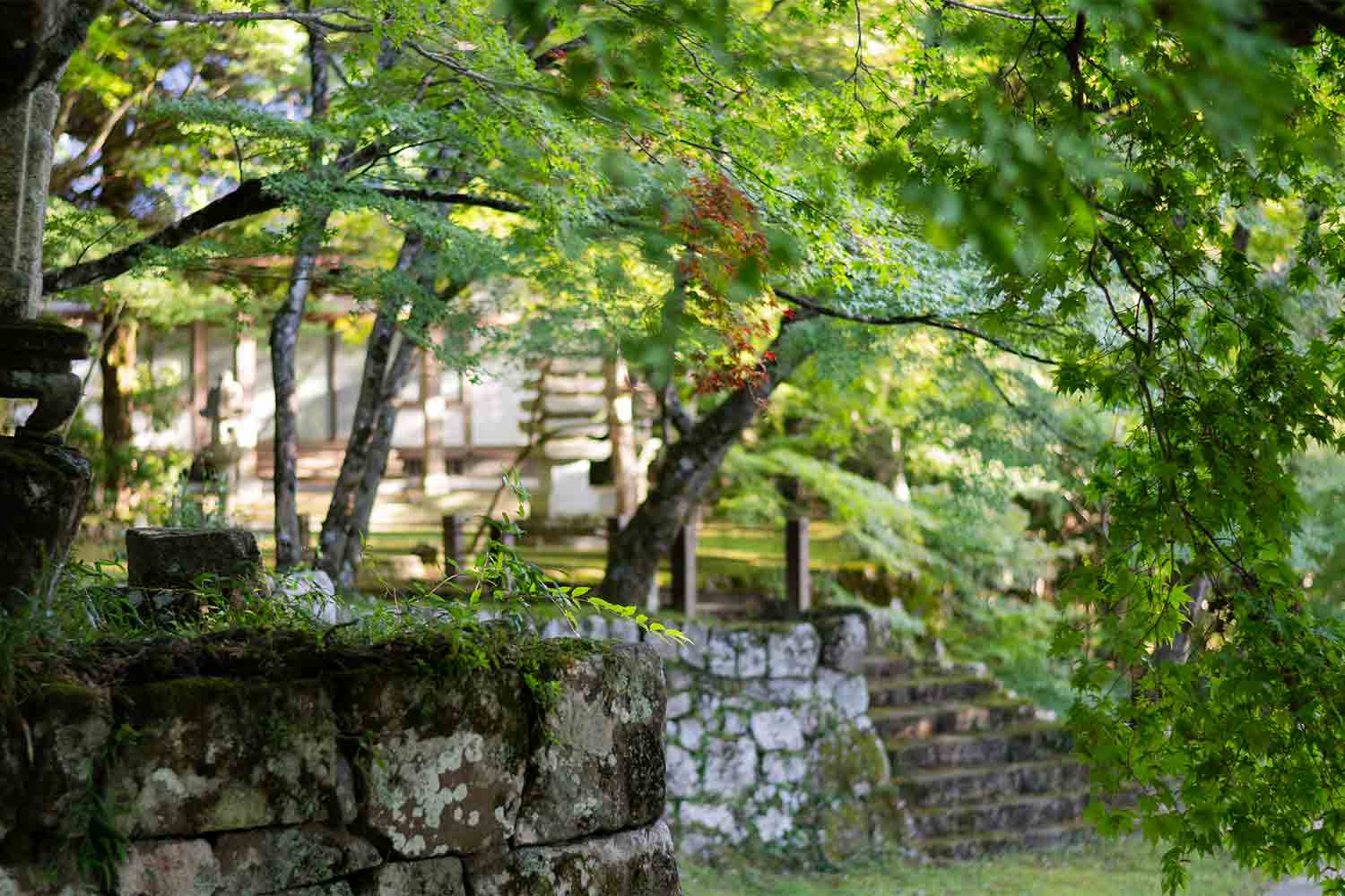 琵琶湖を横目に楽しむ滋賀県の話題スポットをSNSサーチで旅してみた