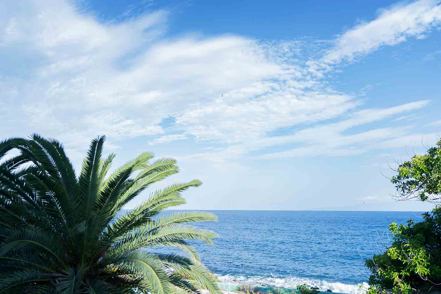 週末ローカル旅　秋の伊豆に癒やされる「水風呂ちゃんのひとり旅・後編 〜お宿〜」