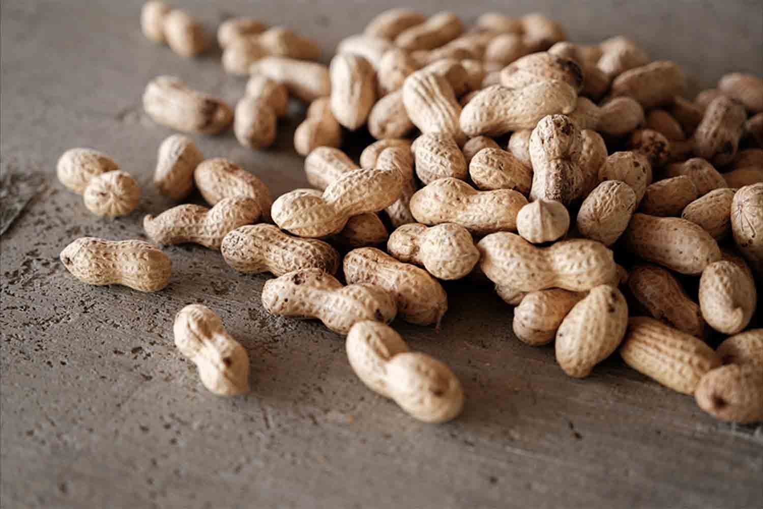 九十九里の地の利と資源を生かし事業拡大。　ピーナッツバターブランド『HAPPY NUTS DAY』