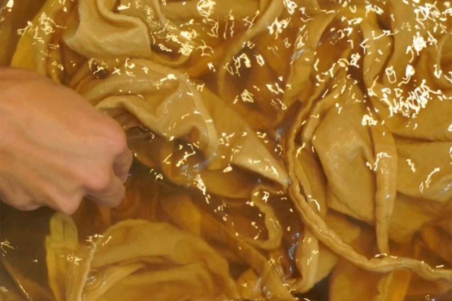 九十九里の地の利と資源を生かし事業拡大。　ピーナッツバターブランド『HAPPY NUTS DAY』