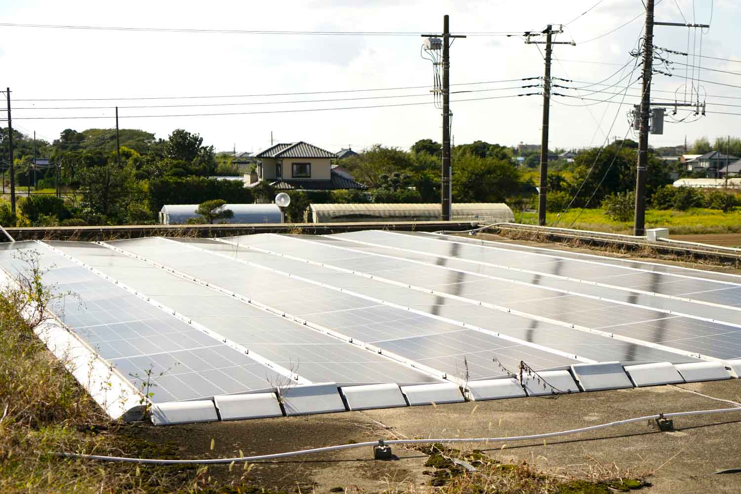 九十九里の地の利と資源を生かし事業拡大。　ピーナッツバターブランド『HAPPY NUTS DAY』