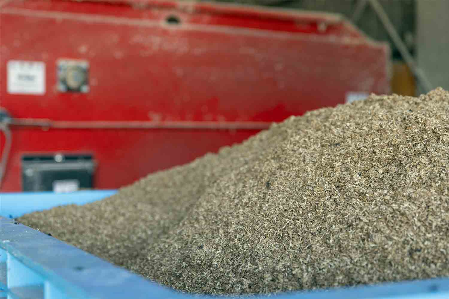 近江牛生産の老舗『澤井牧場』で畜産業のリアルを紐解く