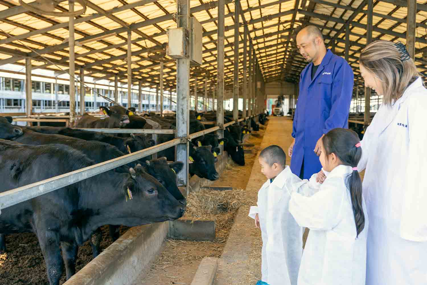 近江牛生産の老舗『澤井牧場』で畜産業のリアルを紐解く