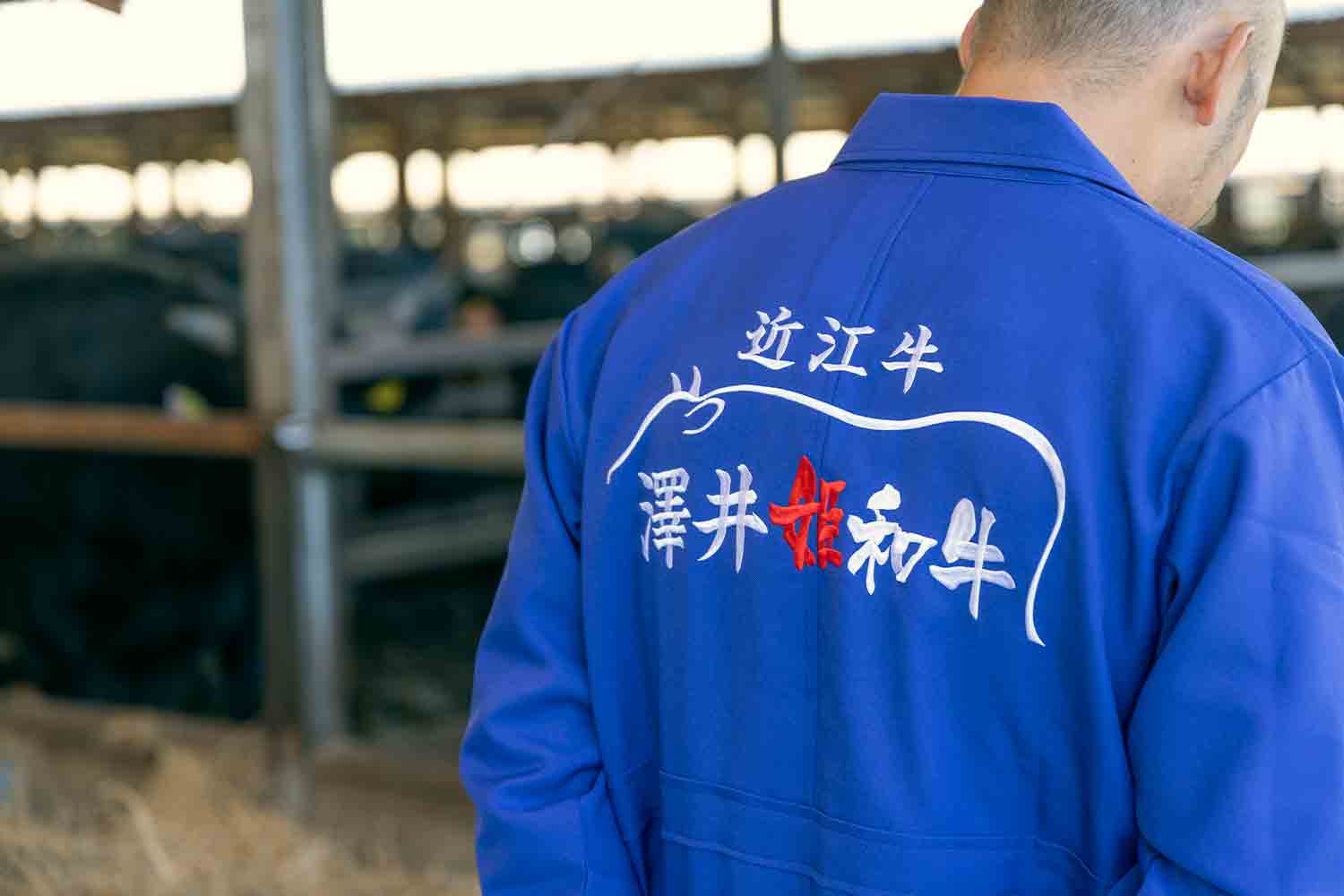 近江牛生産の老舗『澤井牧場』で畜産業のリアルを紐解く