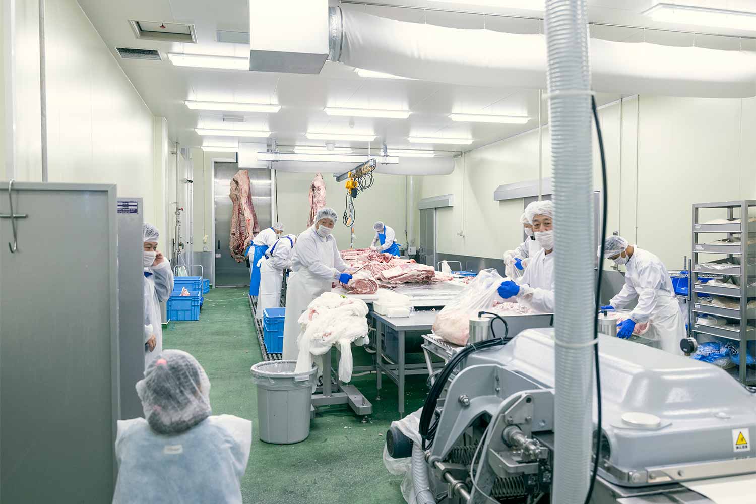 小学生と社会科見学！<br>最高級和牛『近江牛』の精肉工場見学ツアー