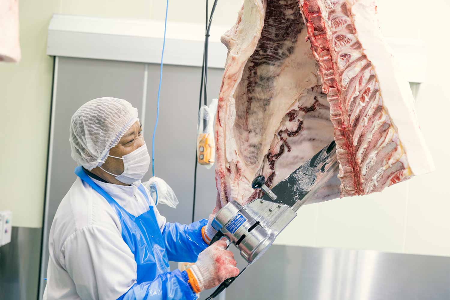 小学生と社会科見学！<br>最高級和牛『近江牛』の精肉工場見学ツアー