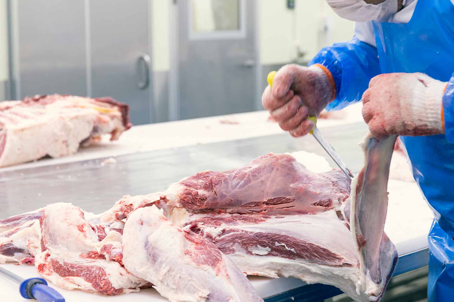 小学生と社会科見学！<br>最高級和牛『近江牛』の精肉工場見学ツアー