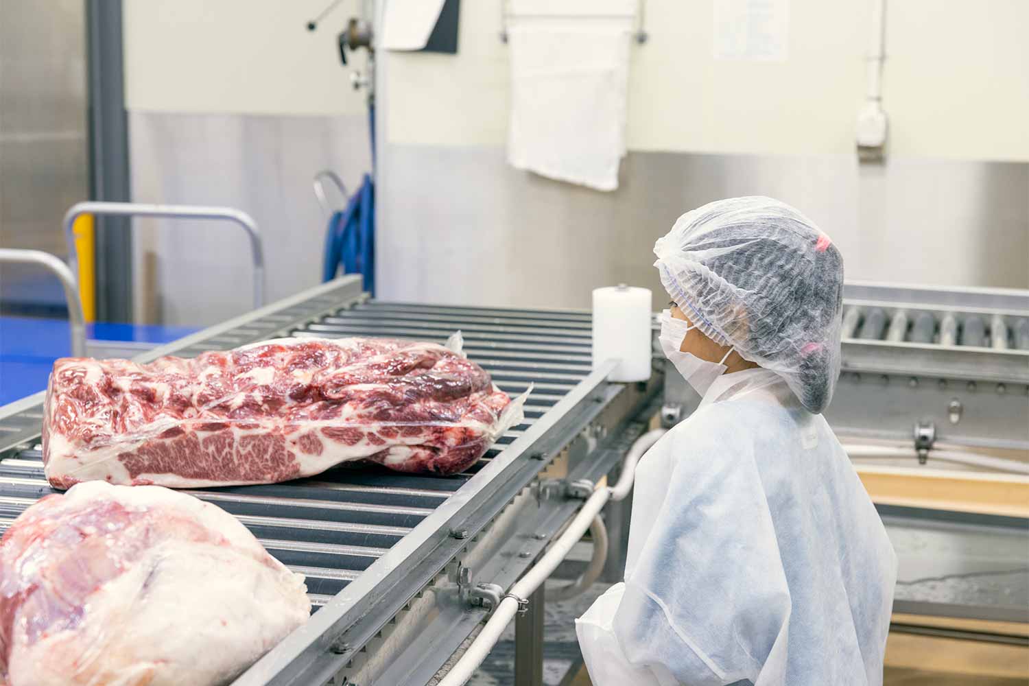 小学生と社会科見学！<br>最高級和牛『近江牛』の精肉工場見学ツアー