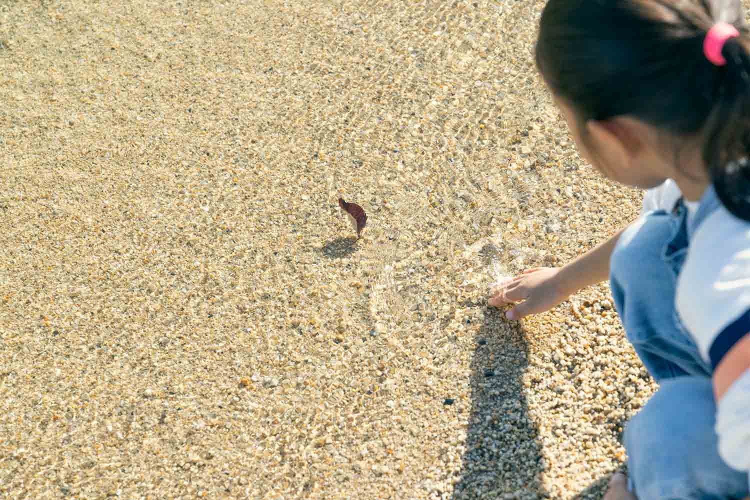 4人と1匹の仲良し家族が行く　近江舞子のペットと泊まれるサウナ付きグランピング施設