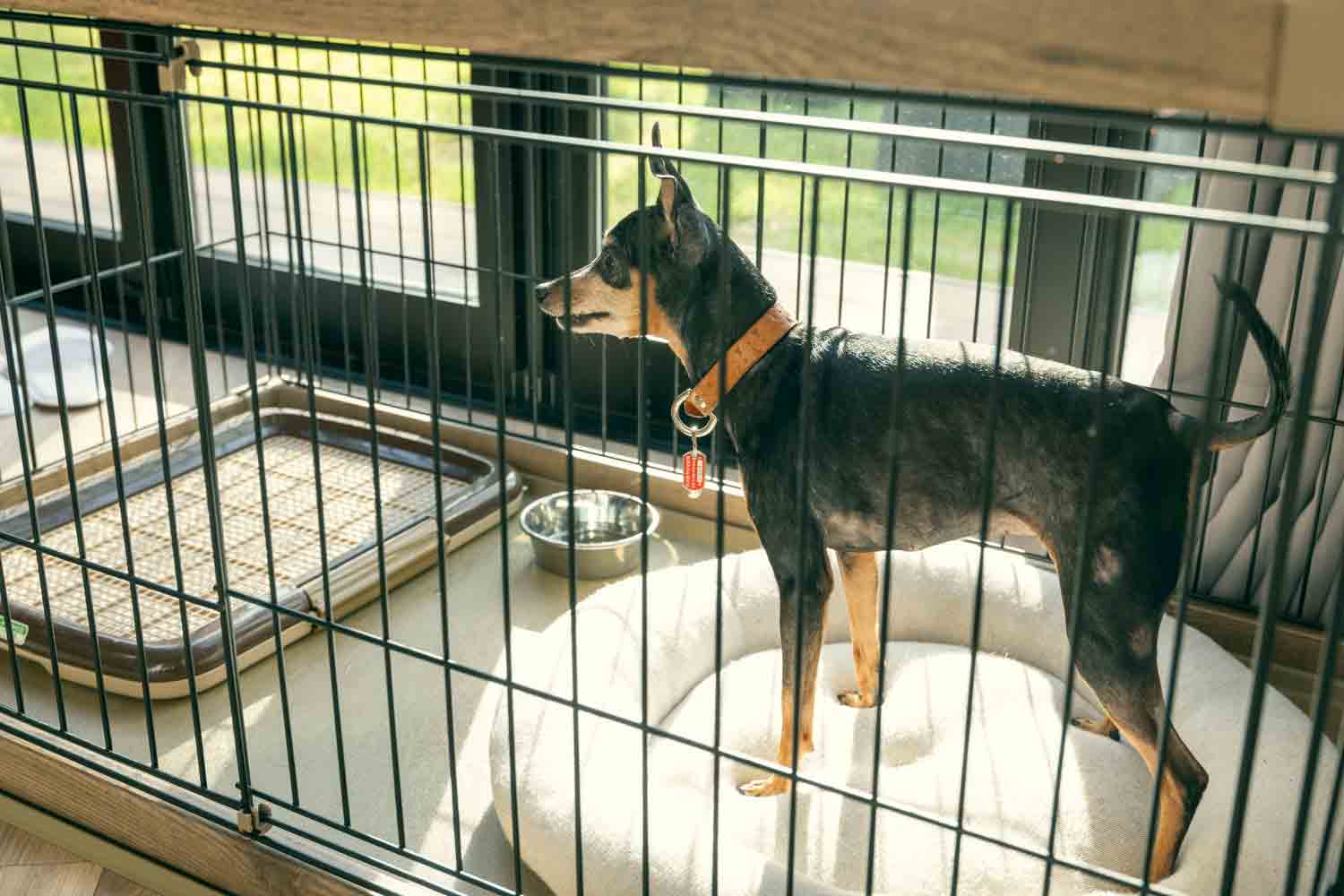 4人と1匹の仲良し家族が行く　近江舞子のペットと泊まれるサウナ付きグランピング施設