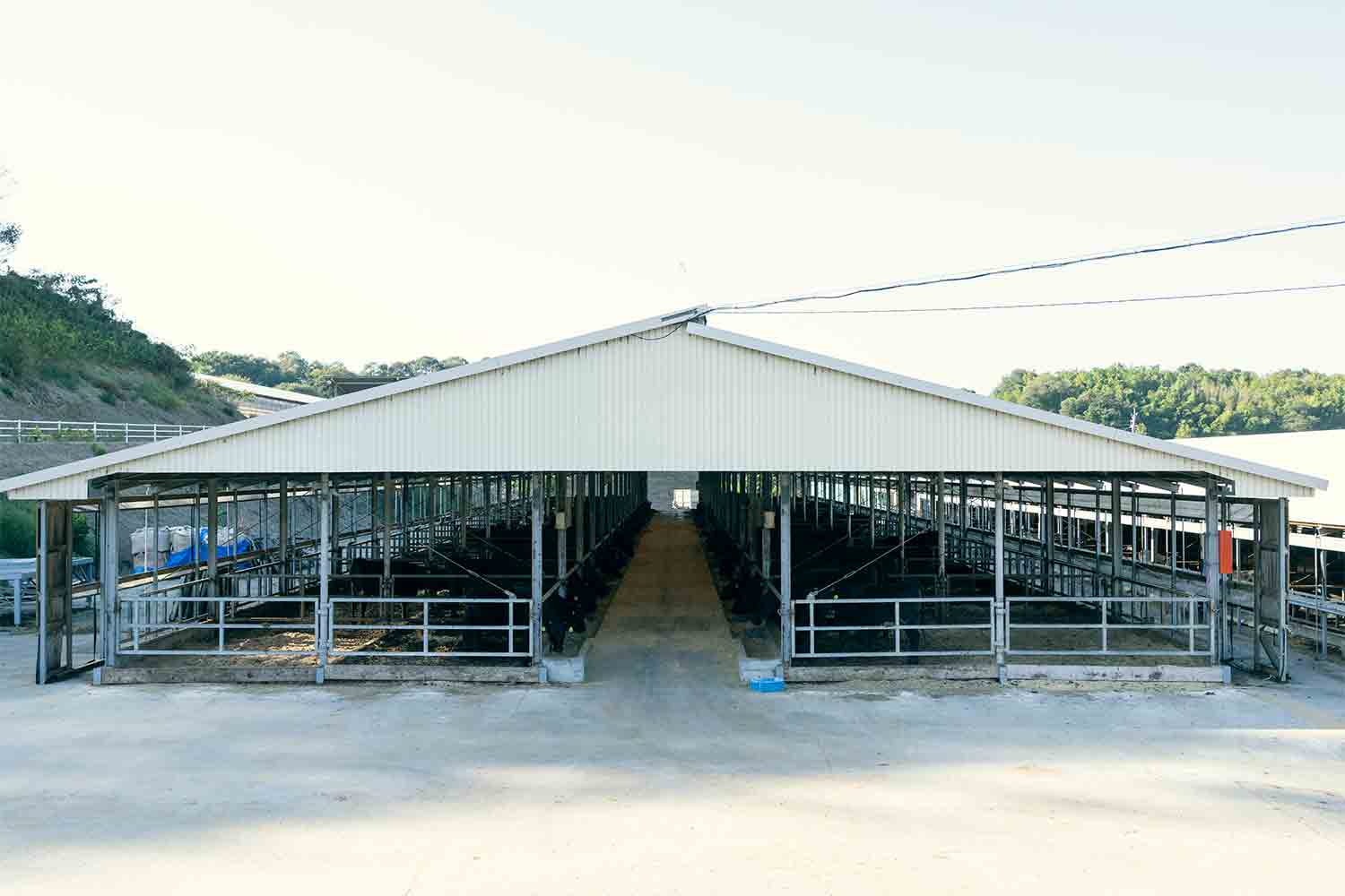 近江牛生産の老舗『澤井牧場』で畜産業のリアルを紐解く