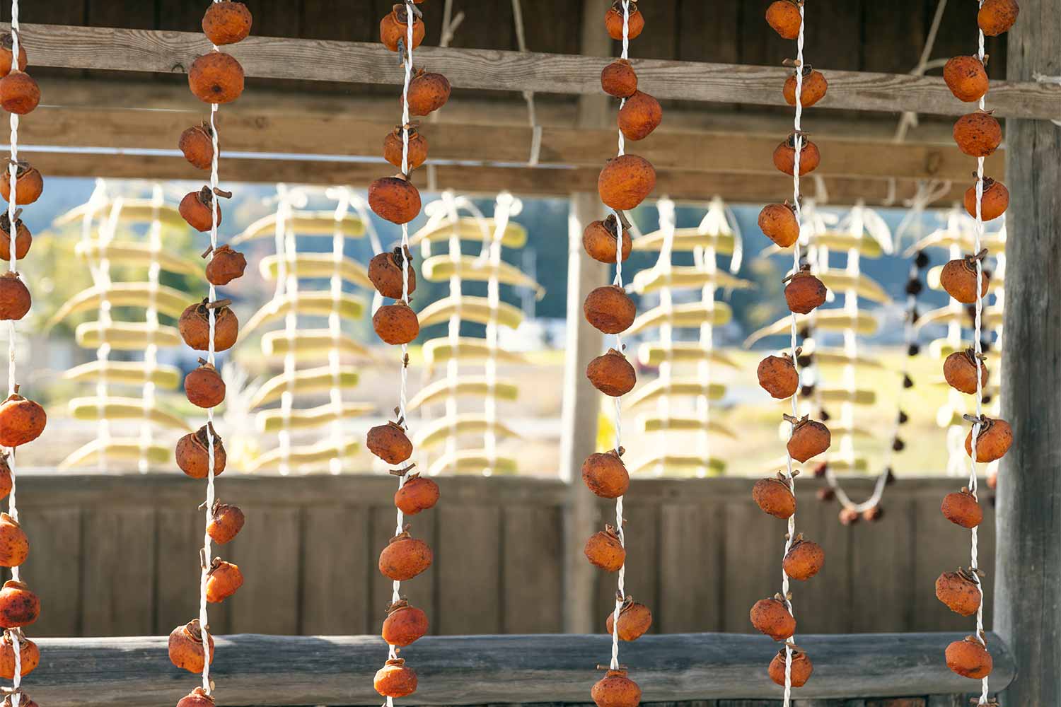 山形県の無形文化財『深山和紙』に<br>ふれる・まなぶ・創作する