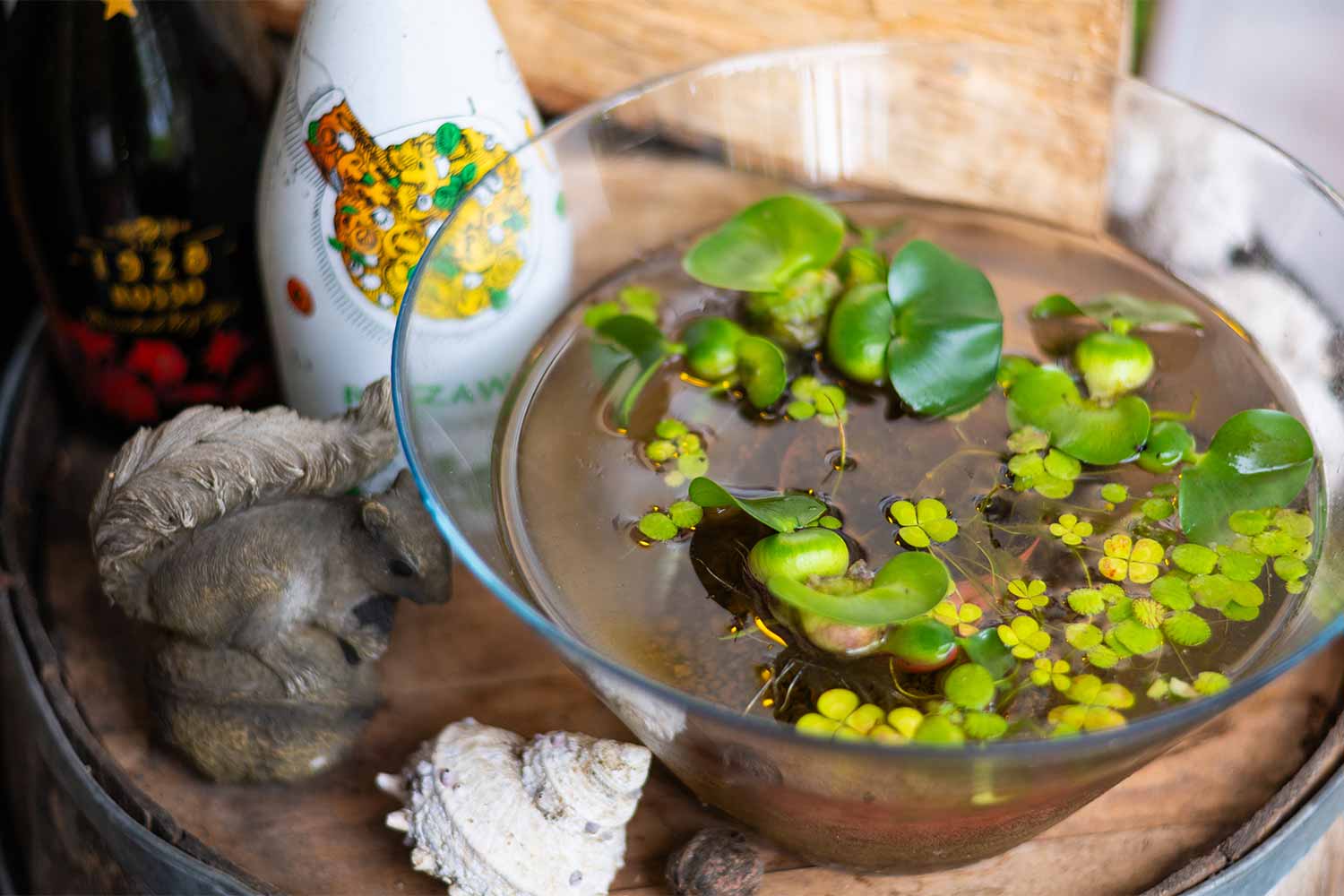 ここはミラノかフィレンツェか？　本場仕込みの激うまイタリアンin山形県白鷹町