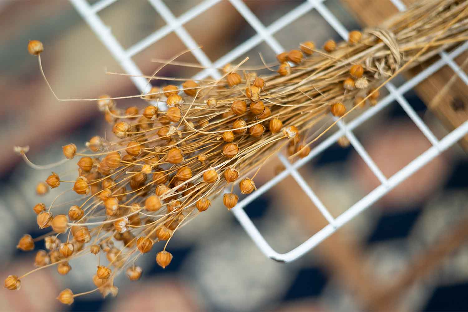 人にも地球にも優しい素材使いで世界を変える　山形発リネンニットメーカー『ケンランド』潜入記