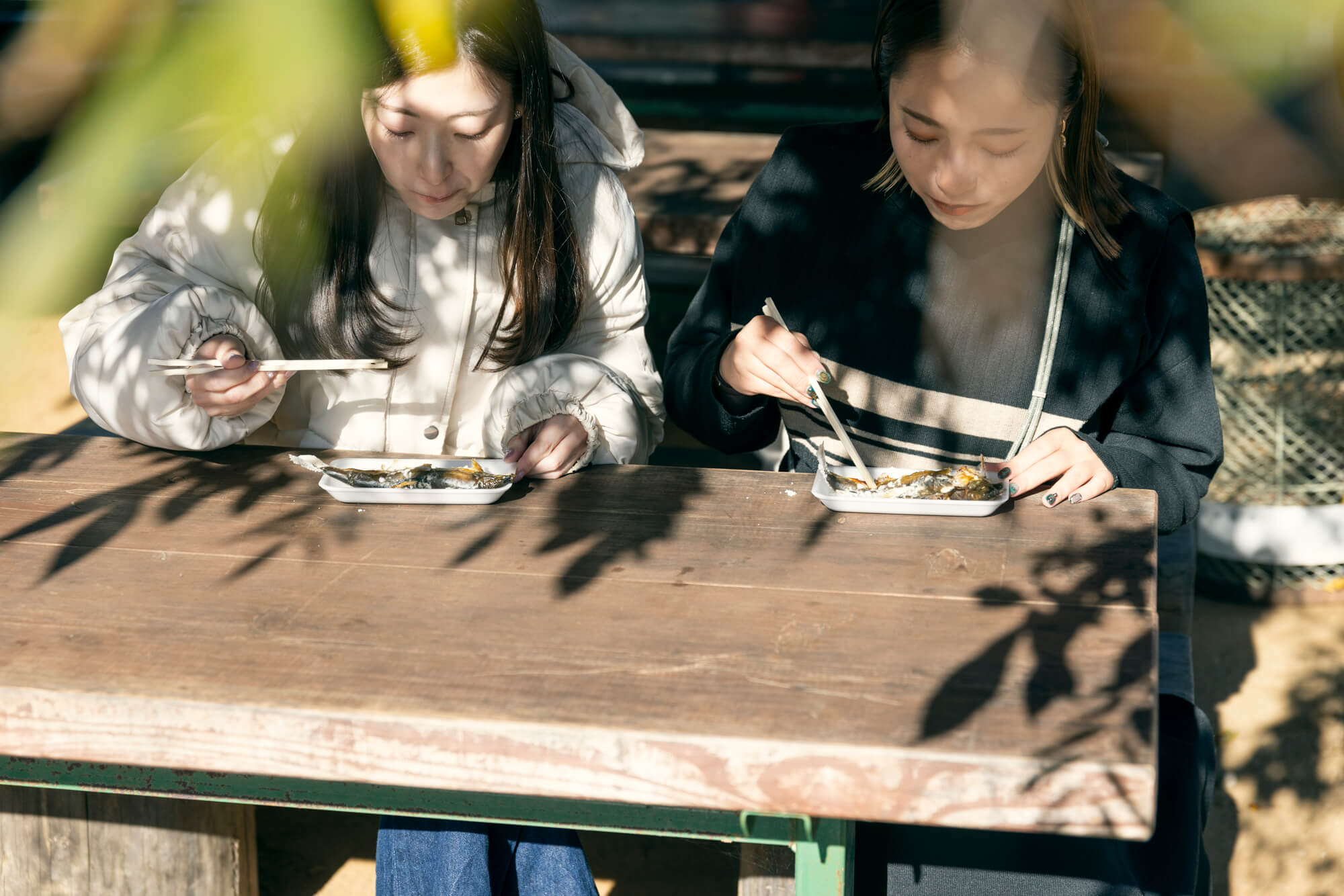 自然の恵みいっぱいの山形県白鷹町で<br>SNSを頼りに気ままなロードトリップ