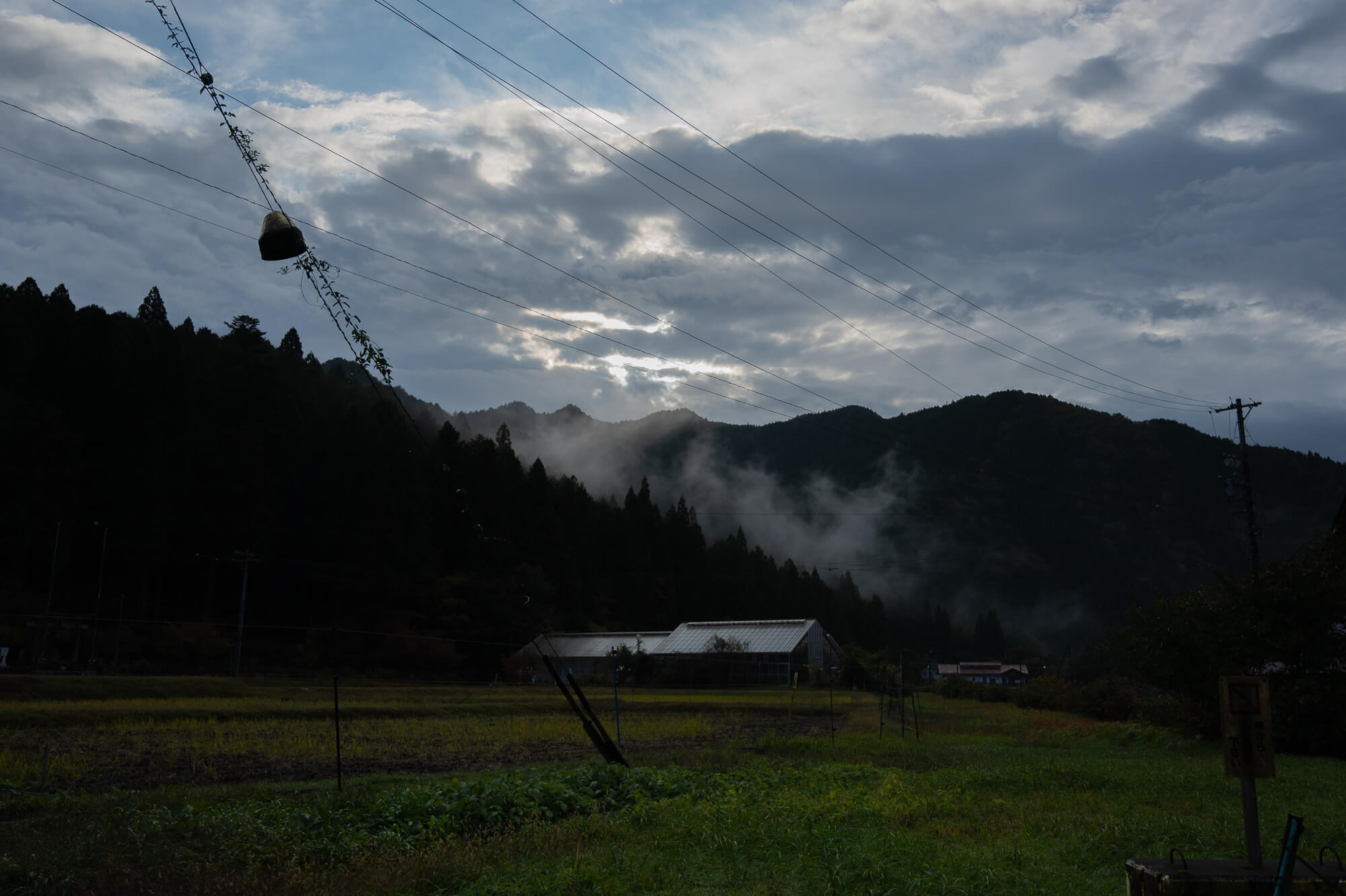 自然の生命力と人々の魅力に触れる-岐阜県関市の旅