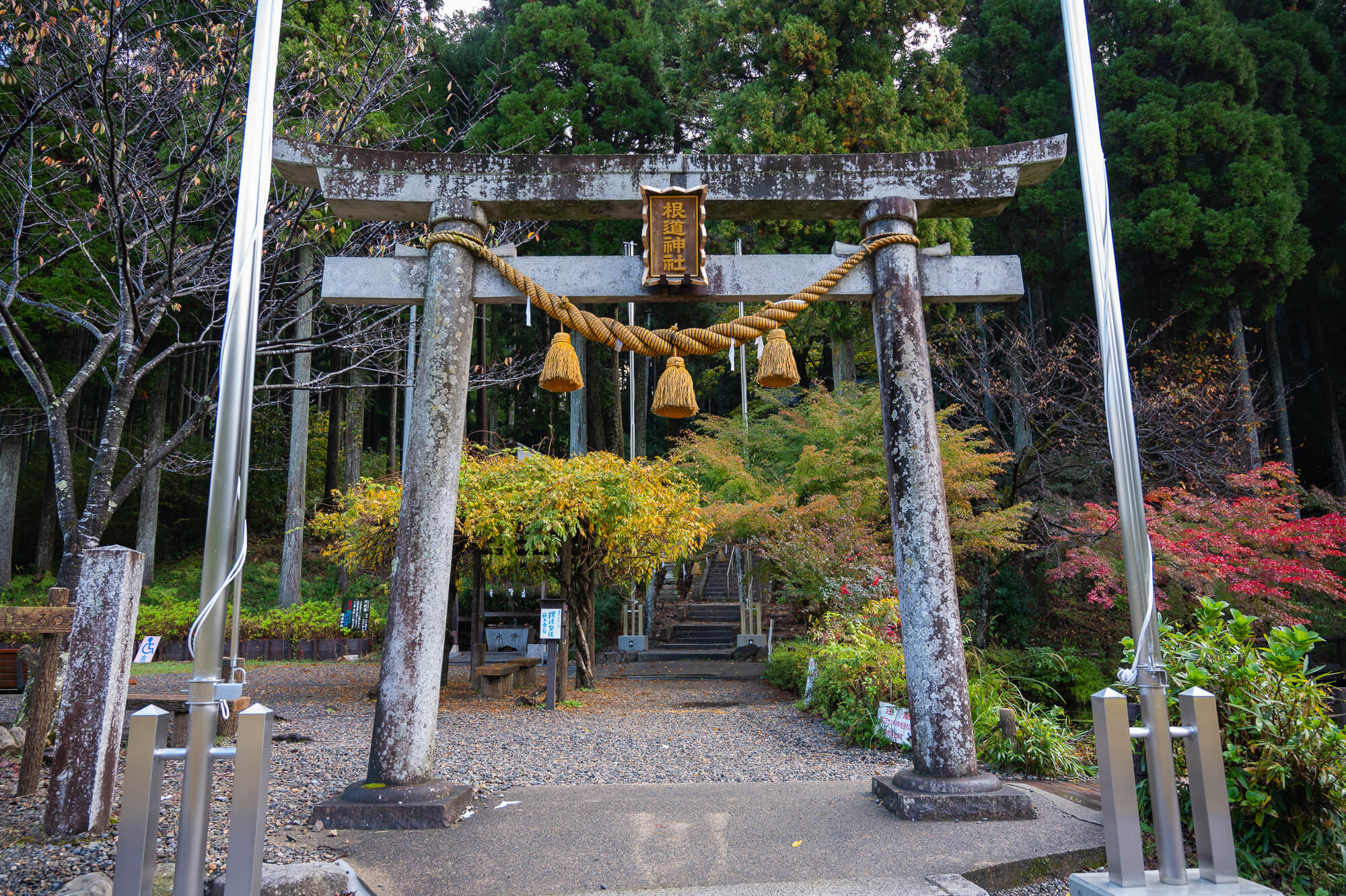 自然の生命力と人々の魅力に触れる-岐阜県関市の旅
