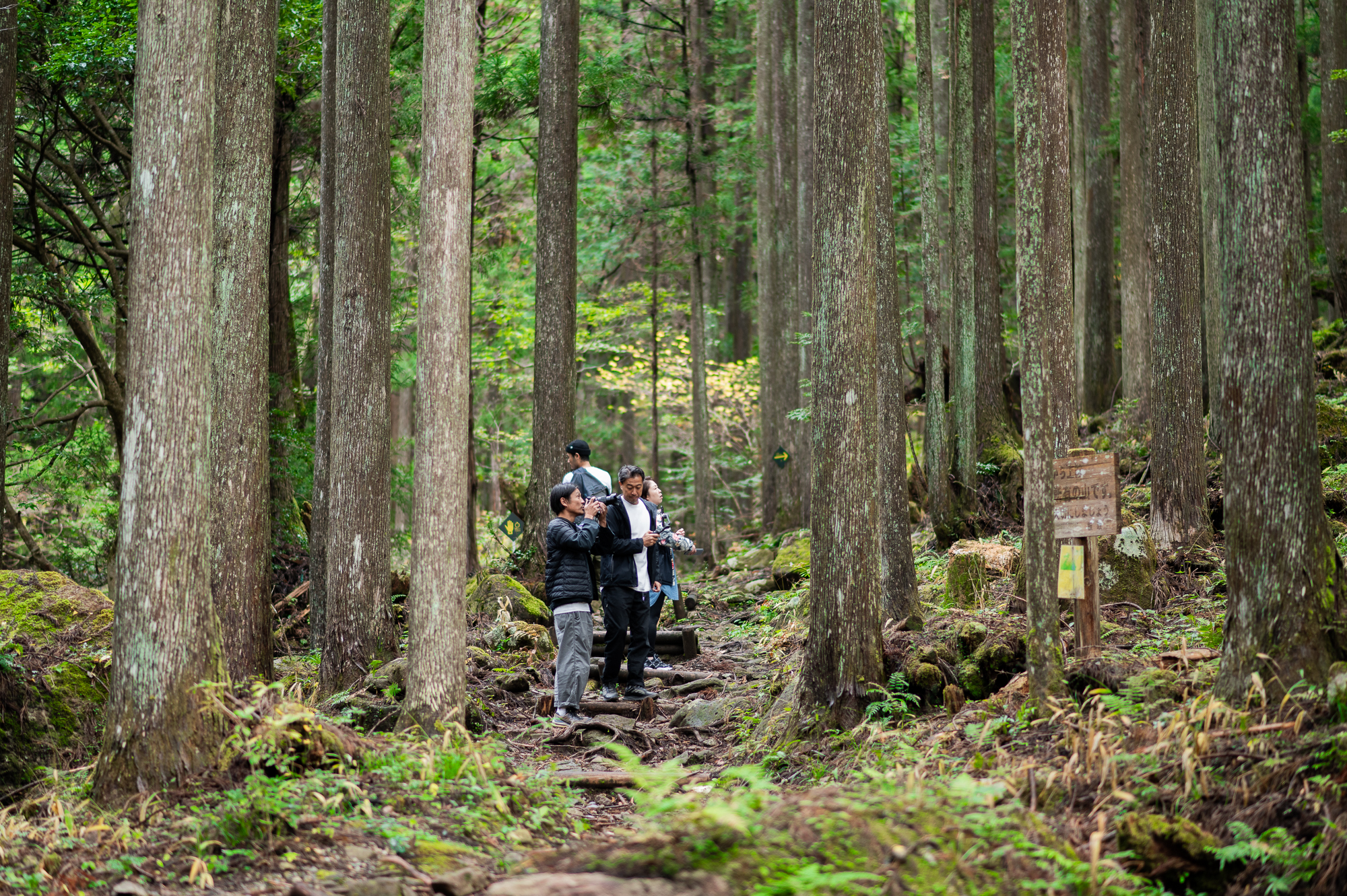 自然の生命力と人々の魅力に触れる-岐阜県関市の旅