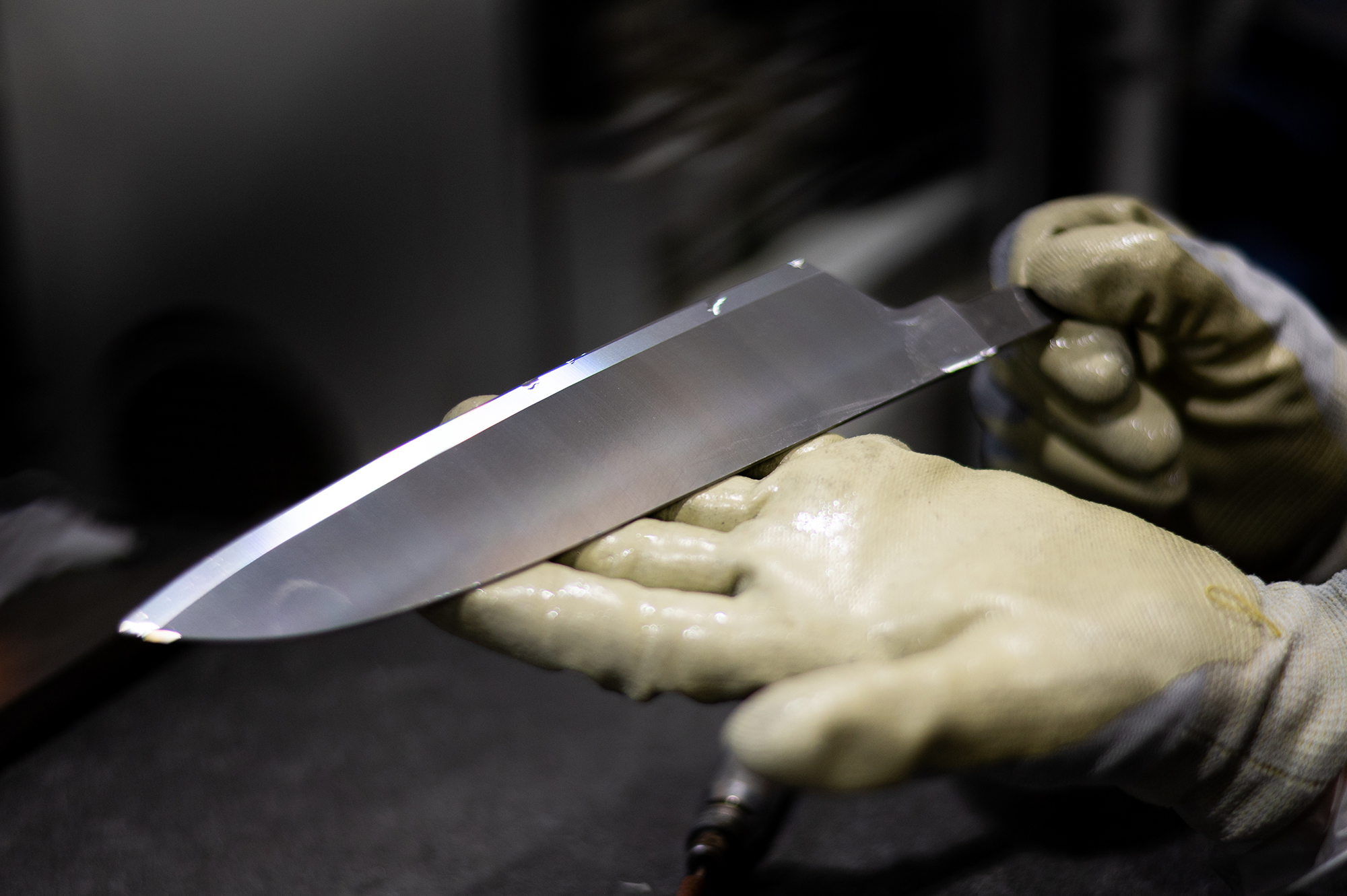 自然の生命力と人々の魅力に触れる-岐阜県関市の旅