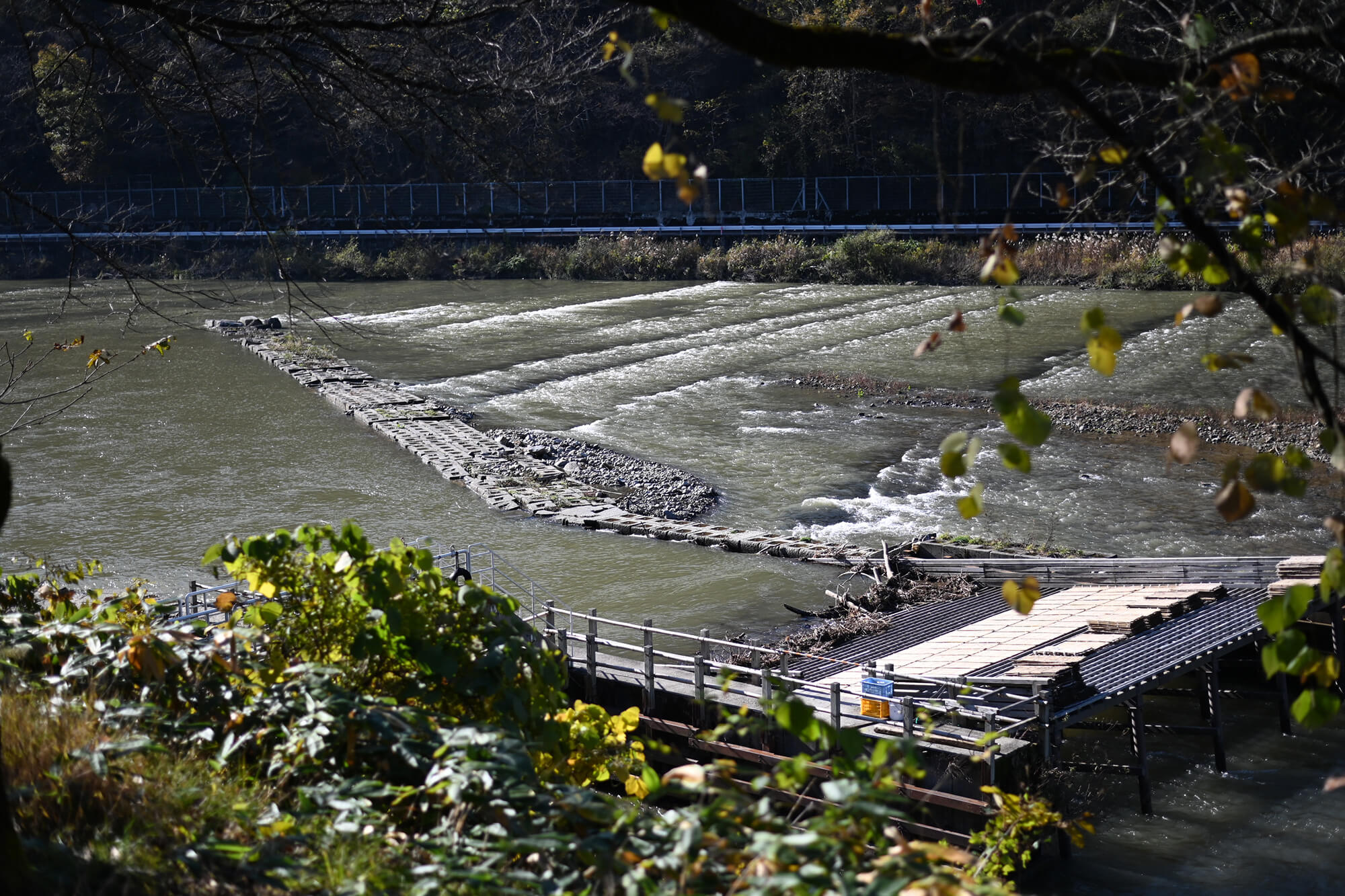 自然の恵みいっぱいの山形県白鷹町で<br>SNSを頼りに気ままなロードトリップ