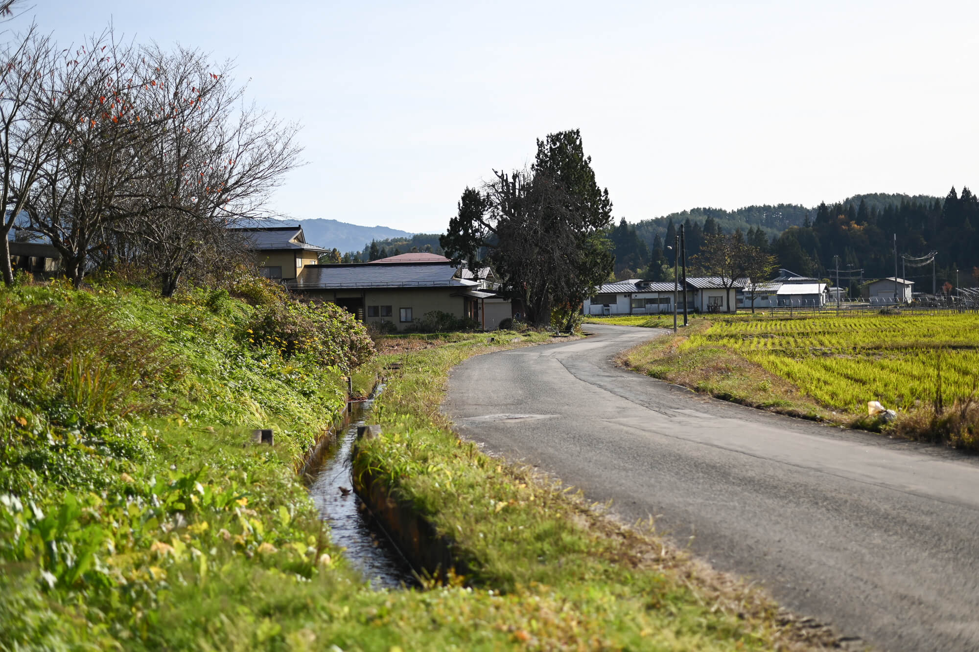 自然の恵みいっぱいの山形県白鷹町で<br>SNSを頼りに気ままなロードトリップ