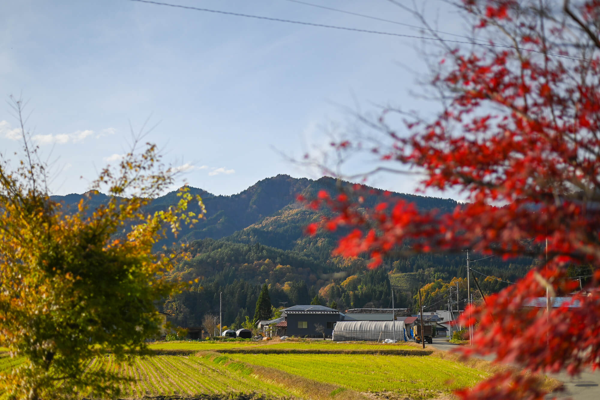 自然の恵みいっぱいの山形県白鷹町で<br>SNSを頼りに気ままなロードトリップ