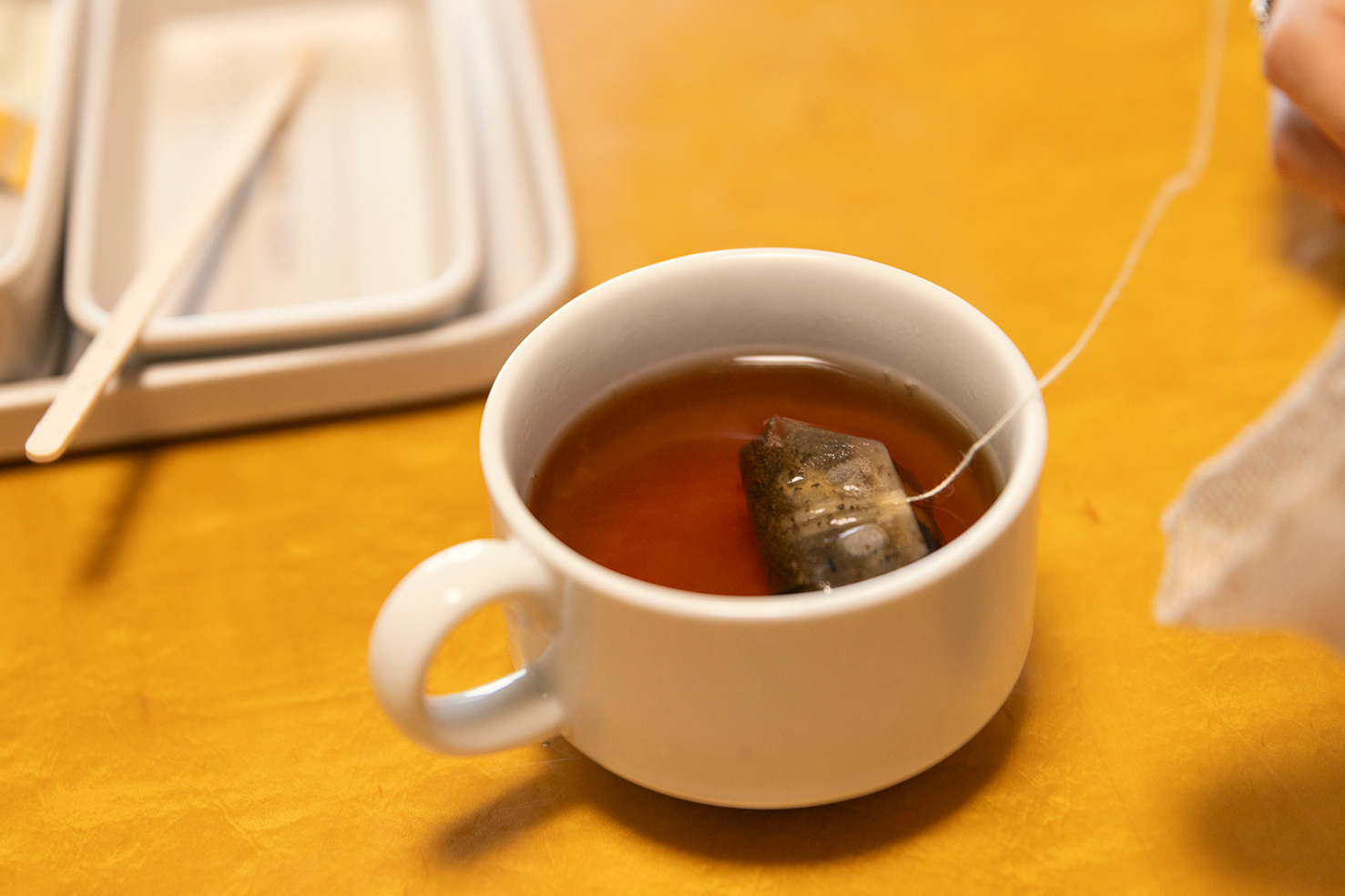 日本三名泉のひとつ有馬温泉を味わい尽くす<br>サウナー女子のふたり旅