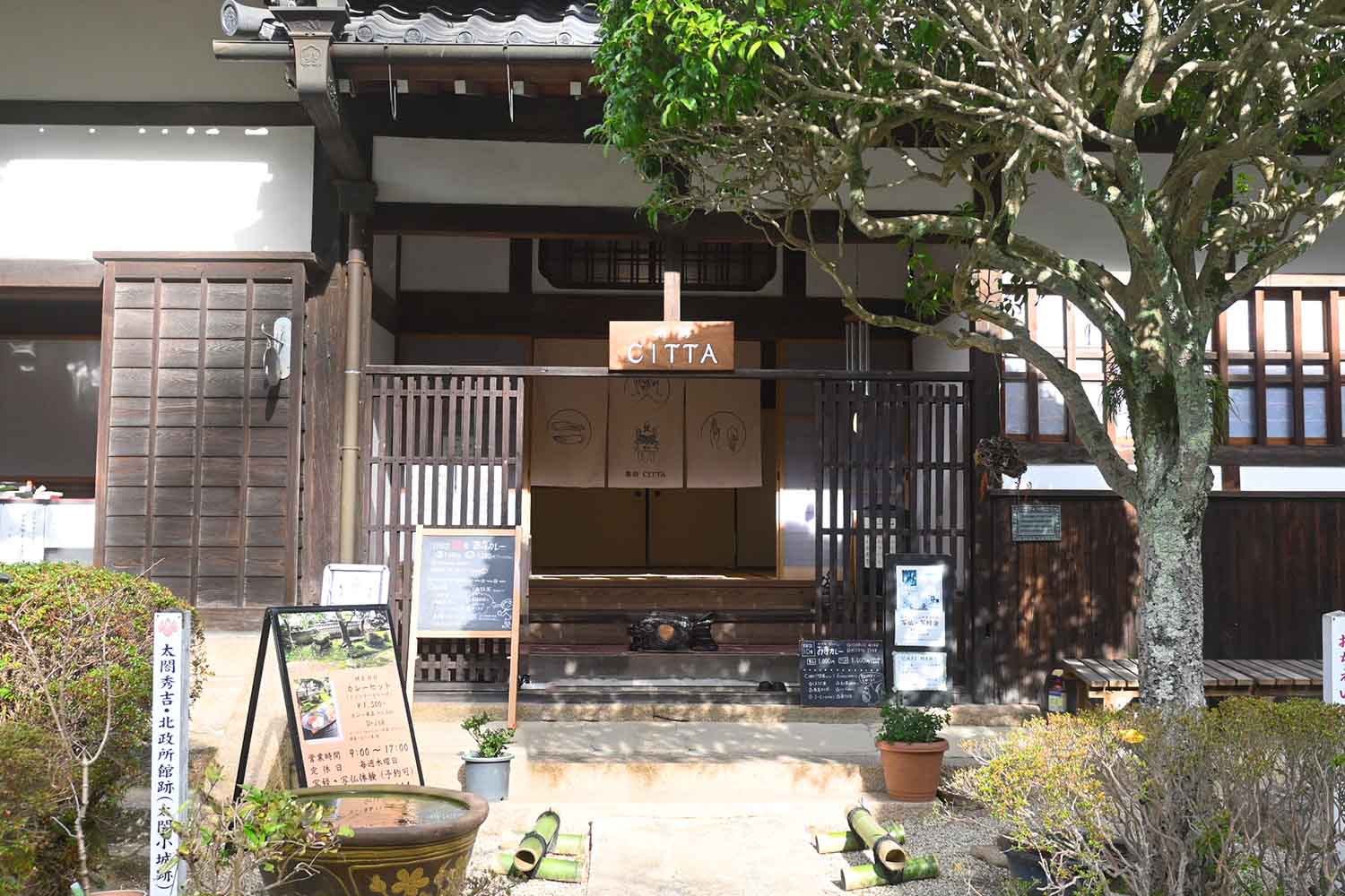 念仏寺『茶坊citta』で絶品ドライカレーと沙羅双樹の庭園を堪能