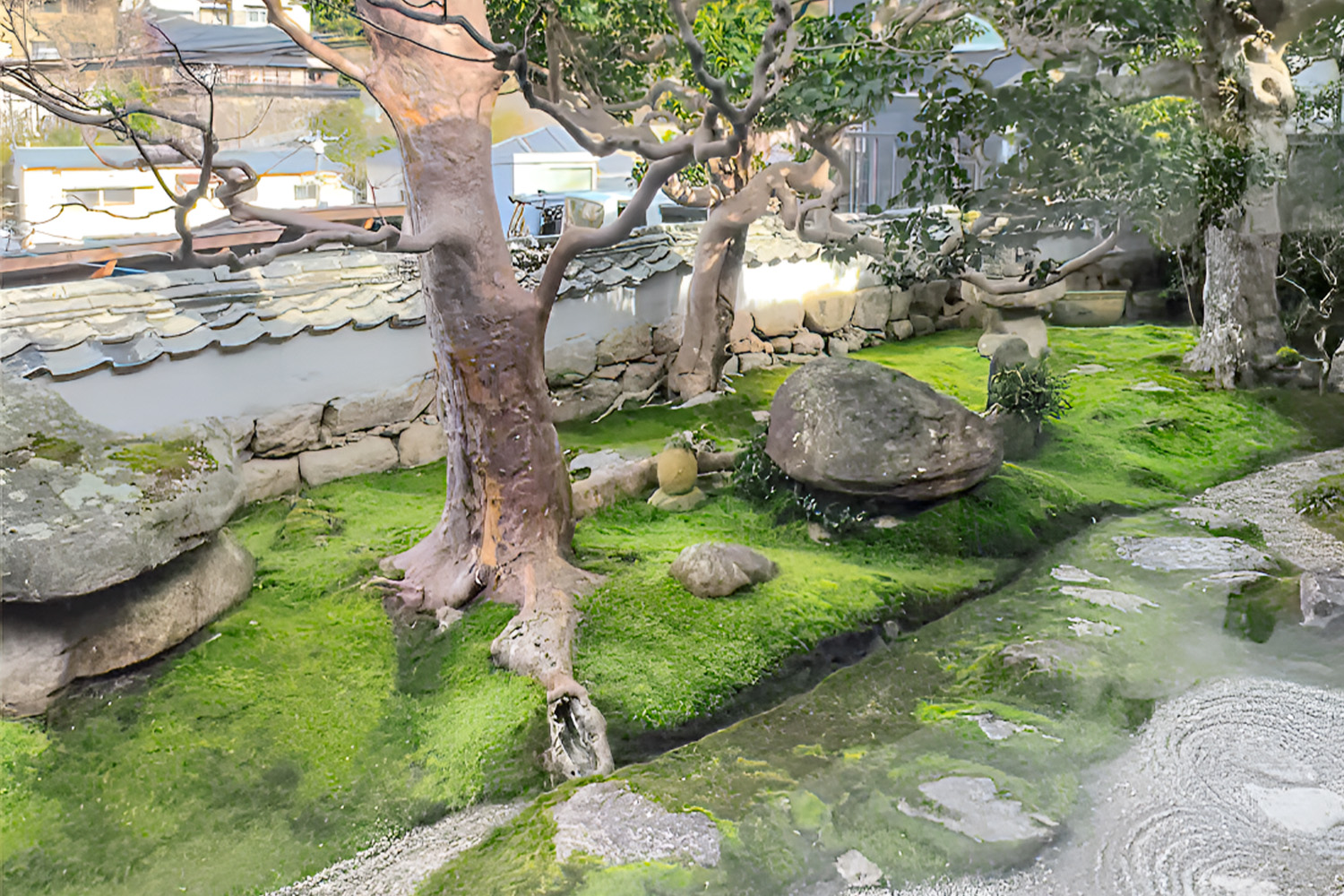 念仏寺『茶坊citta』で絶品ドライカレーと沙羅双樹の庭園を堪能