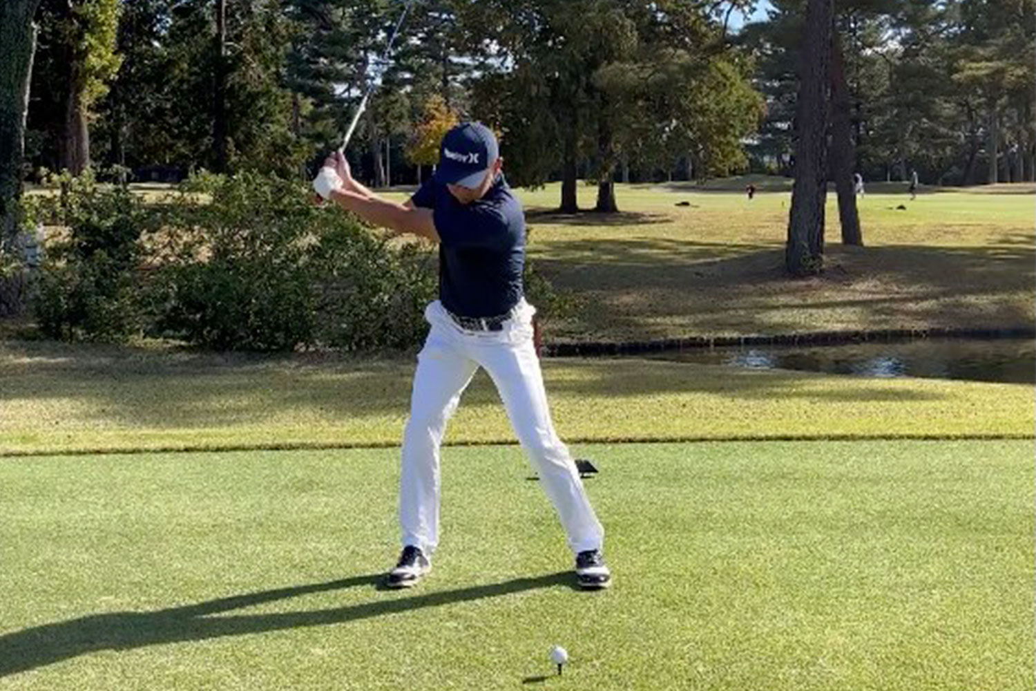 レジェンドスイマー北島康介氏が語る 暮らしとスポーツの関係性