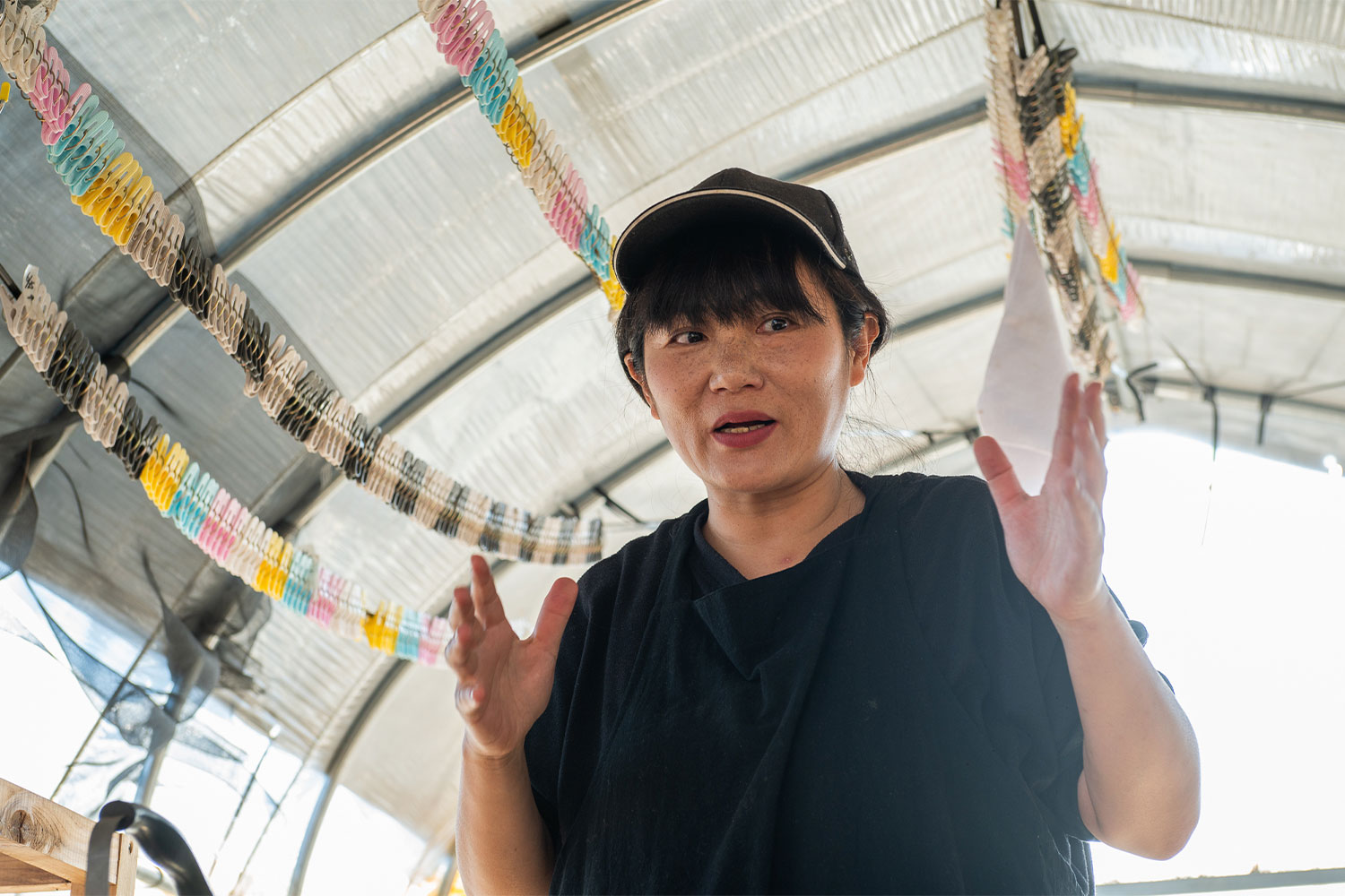 河口湖へ移住した2人のクリエイターが運営するハイブリッドなニンニク農園