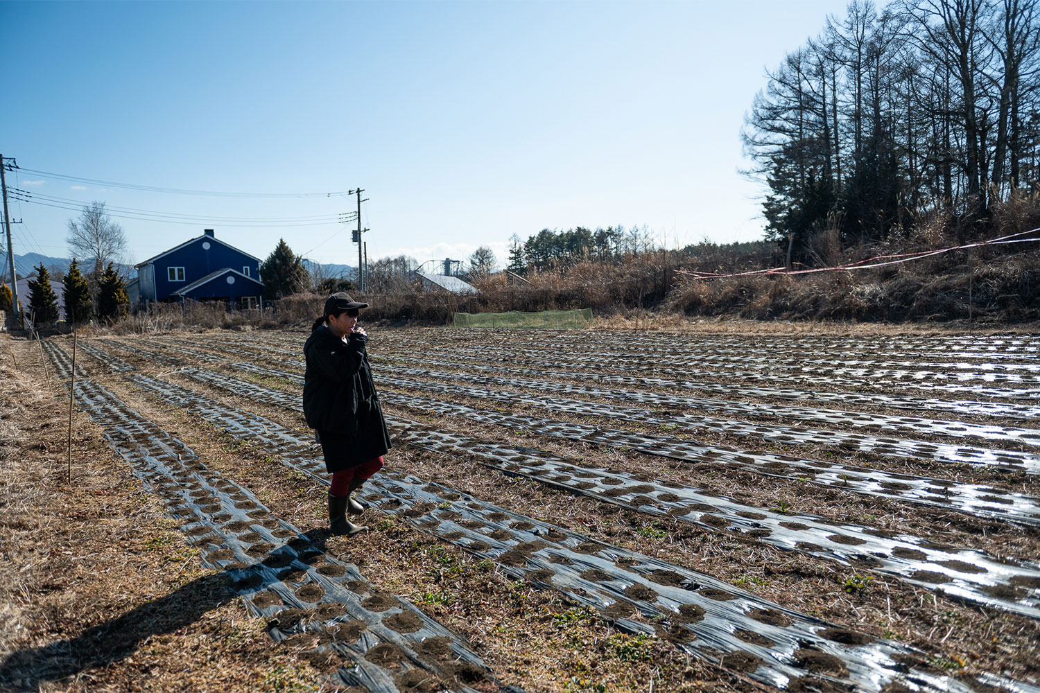 河口湖へ移住した2人のクリエイターが運営するハイブリッドなニンニク農園