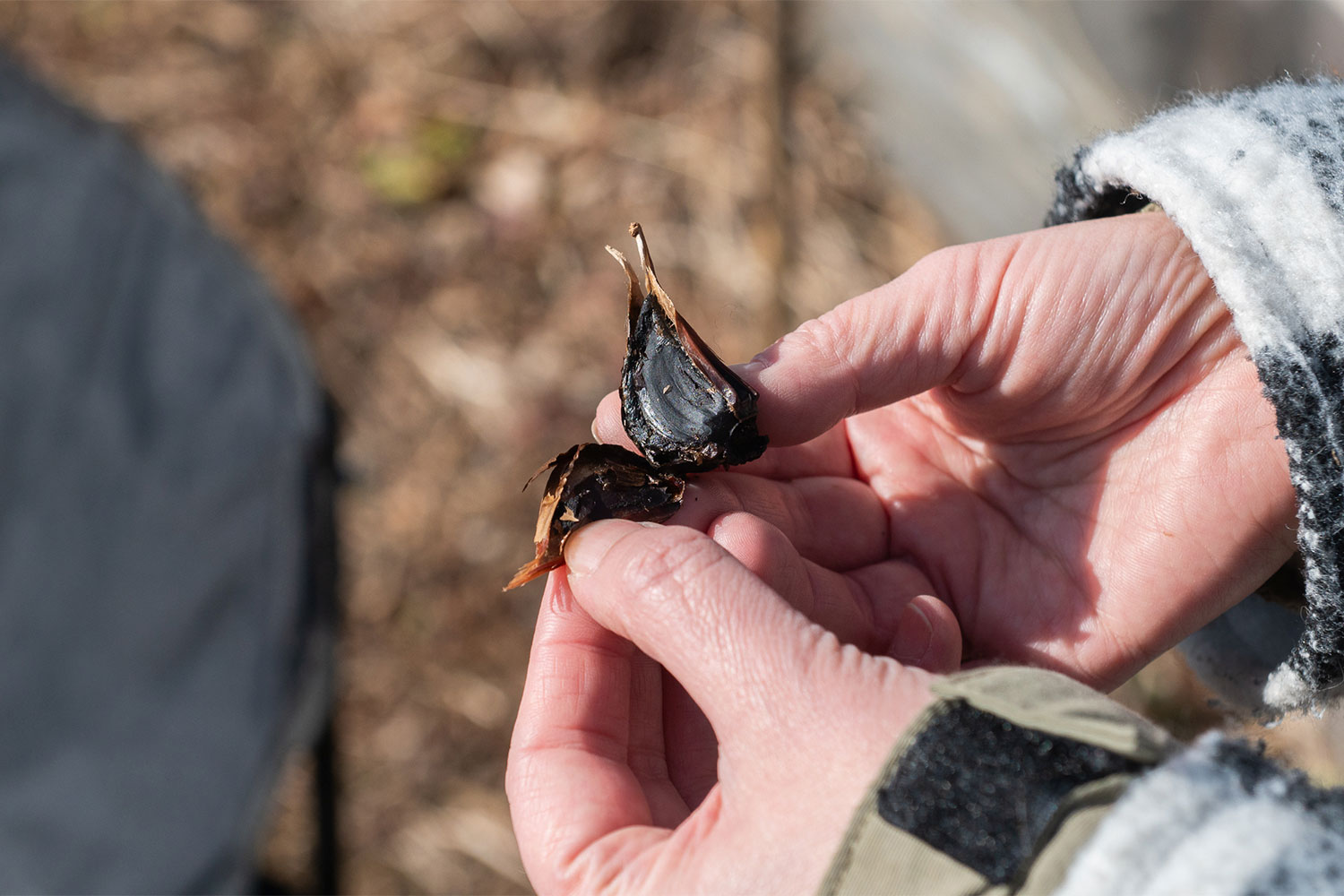 河口湖へ移住した2人のクリエイターが運営するハイブリッドなニンニク農園